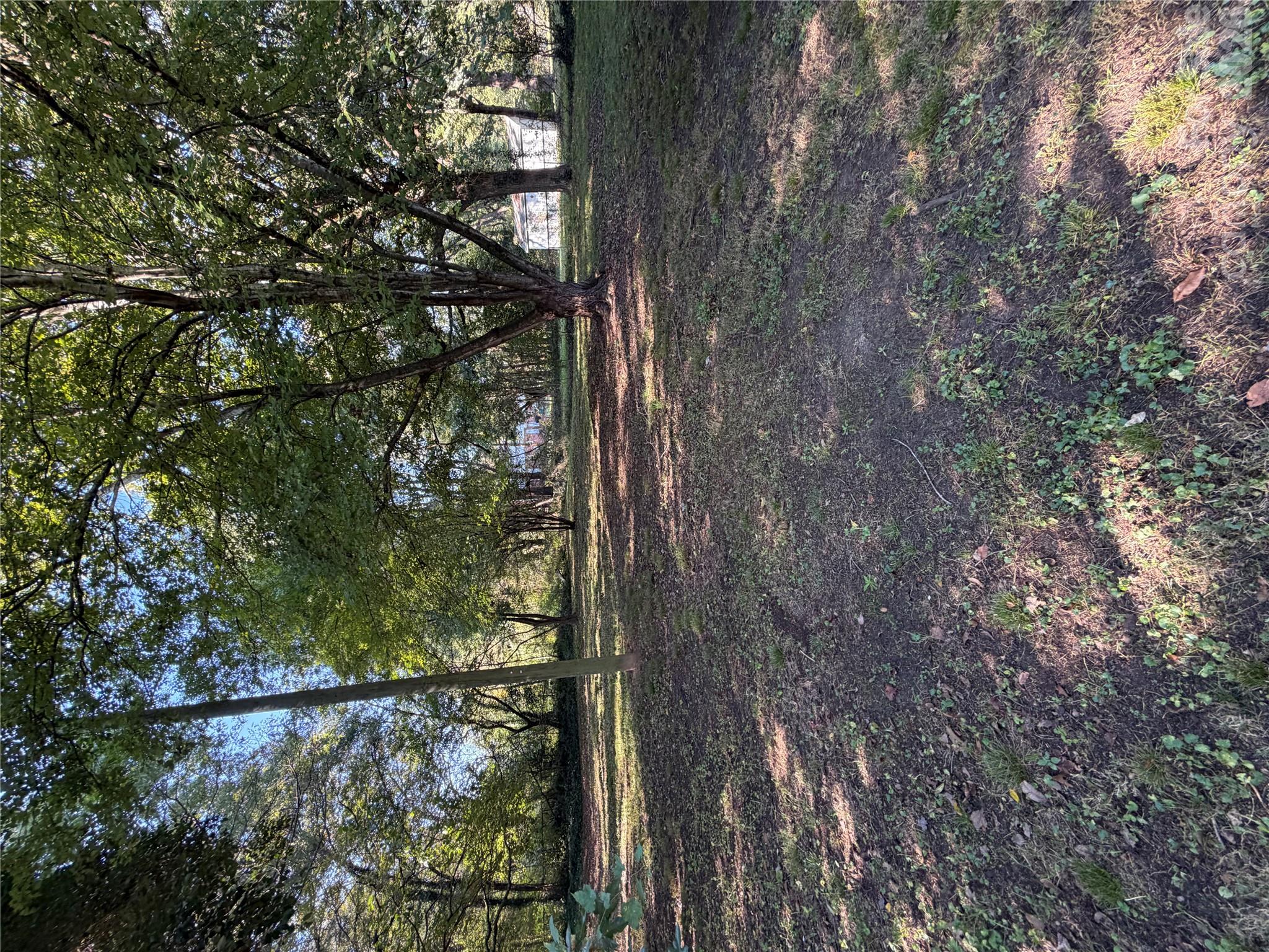 2431 Milton Avenue Property Photo 18
