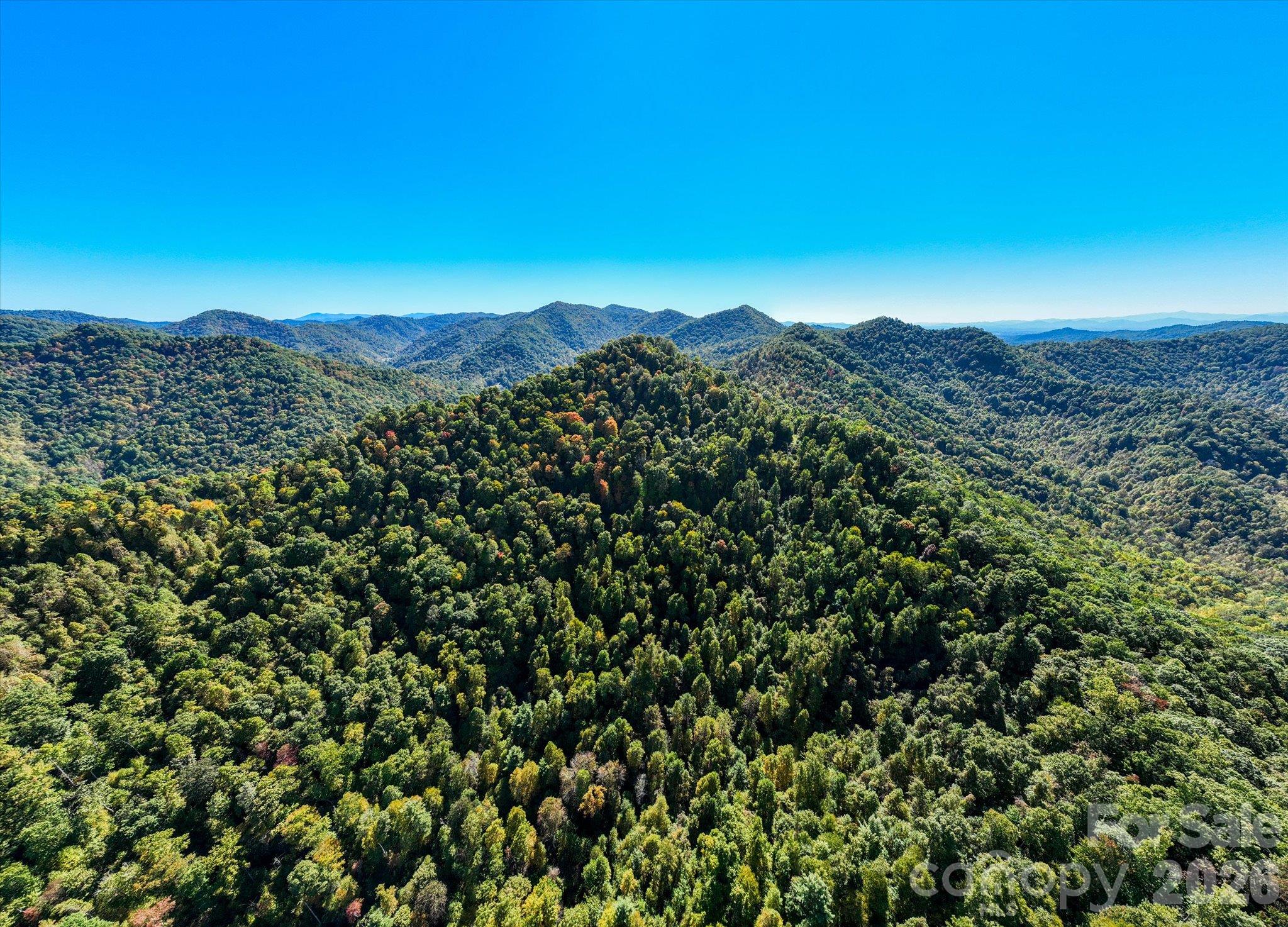 Tbd Big Laurel Road Property Photo 1
