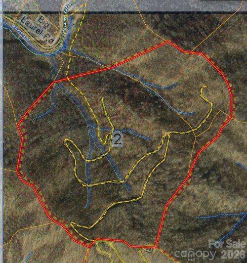 Tbd Big Laurel Road Property Photo 3