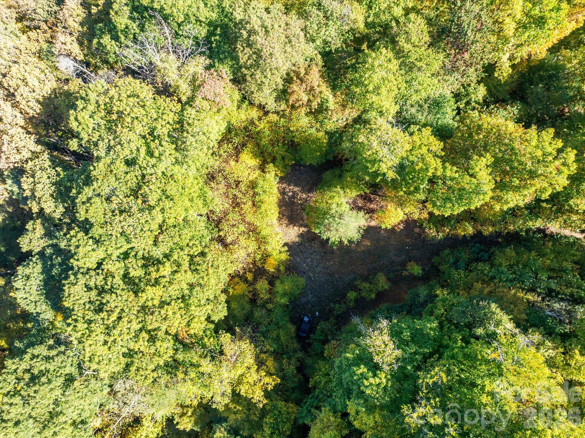 Tbd Big Laurel Road Property Photo 6