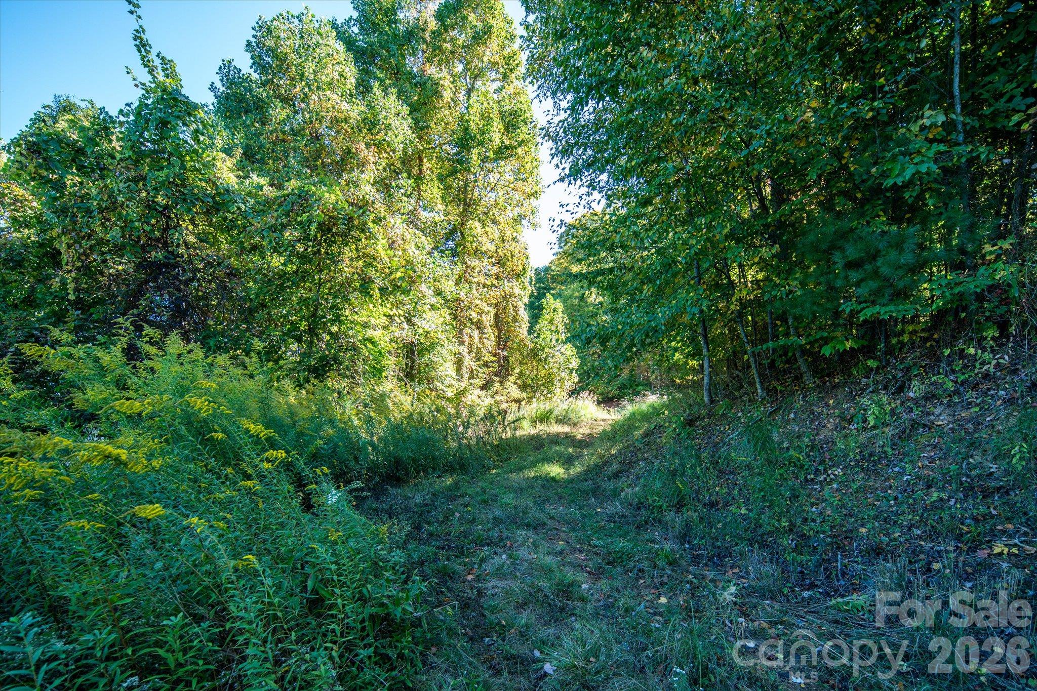 Tbd Big Laurel Road Property Photo 7