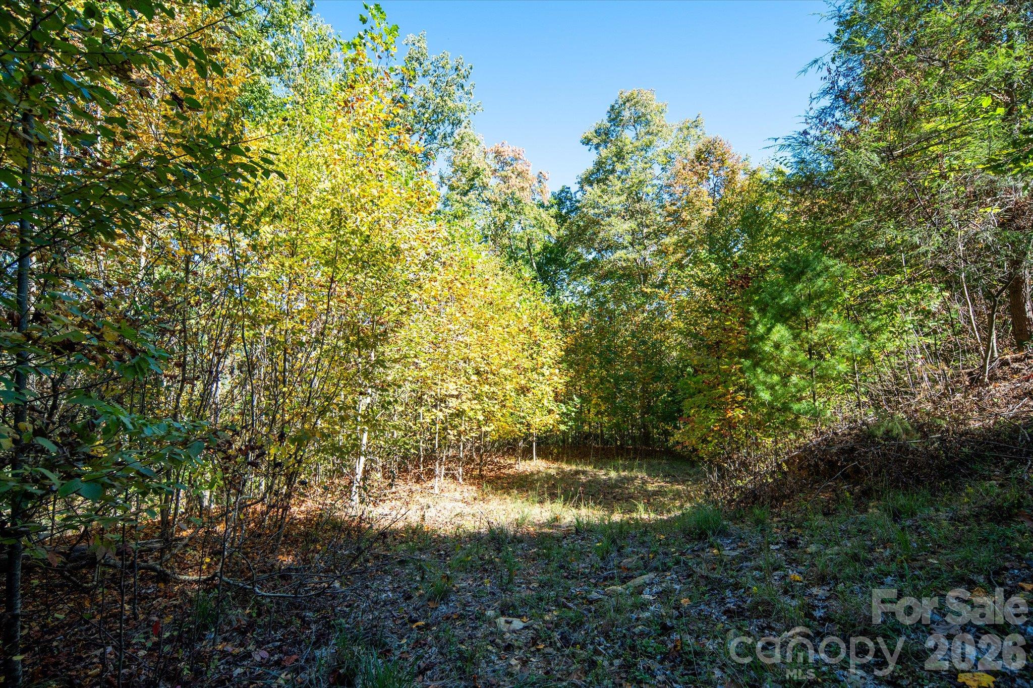 Tbd Big Laurel Road Property Photo 10