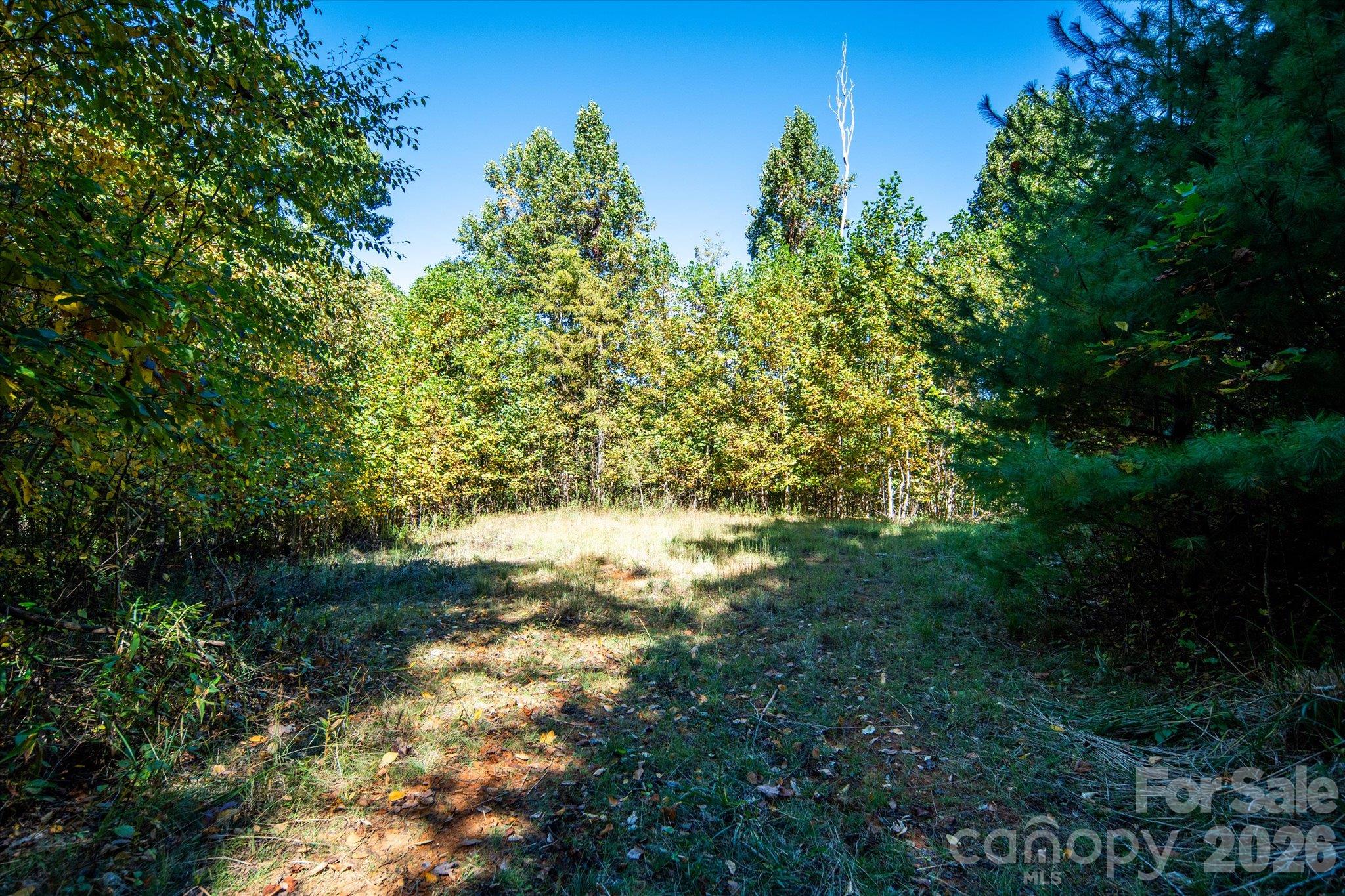 Tbd Big Laurel Road Property Photo 14