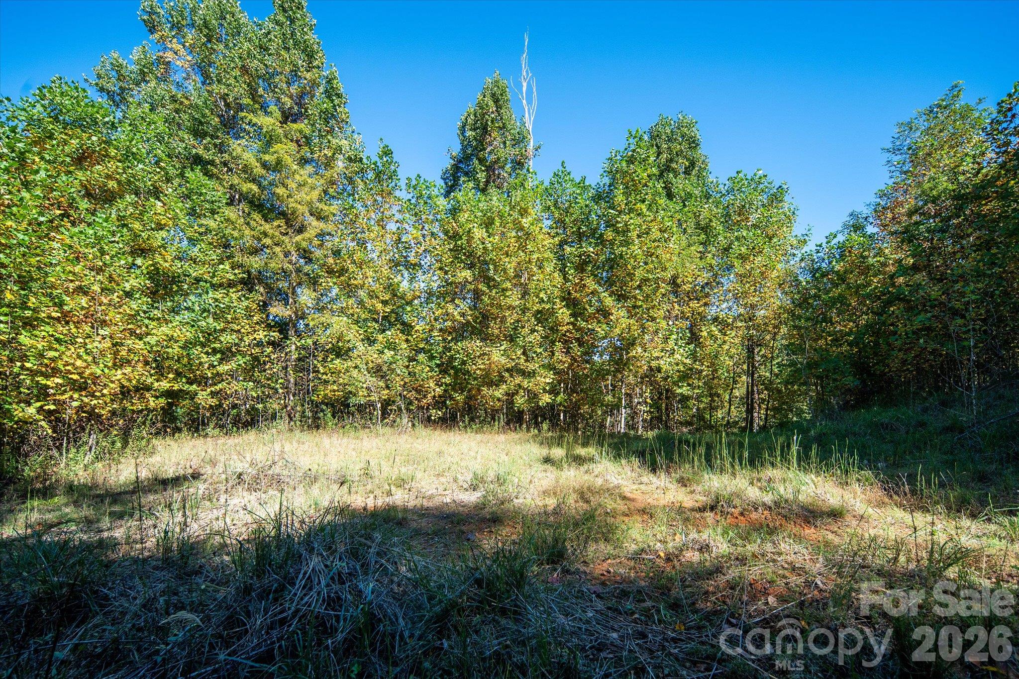 Tbd Big Laurel Road Property Photo 15