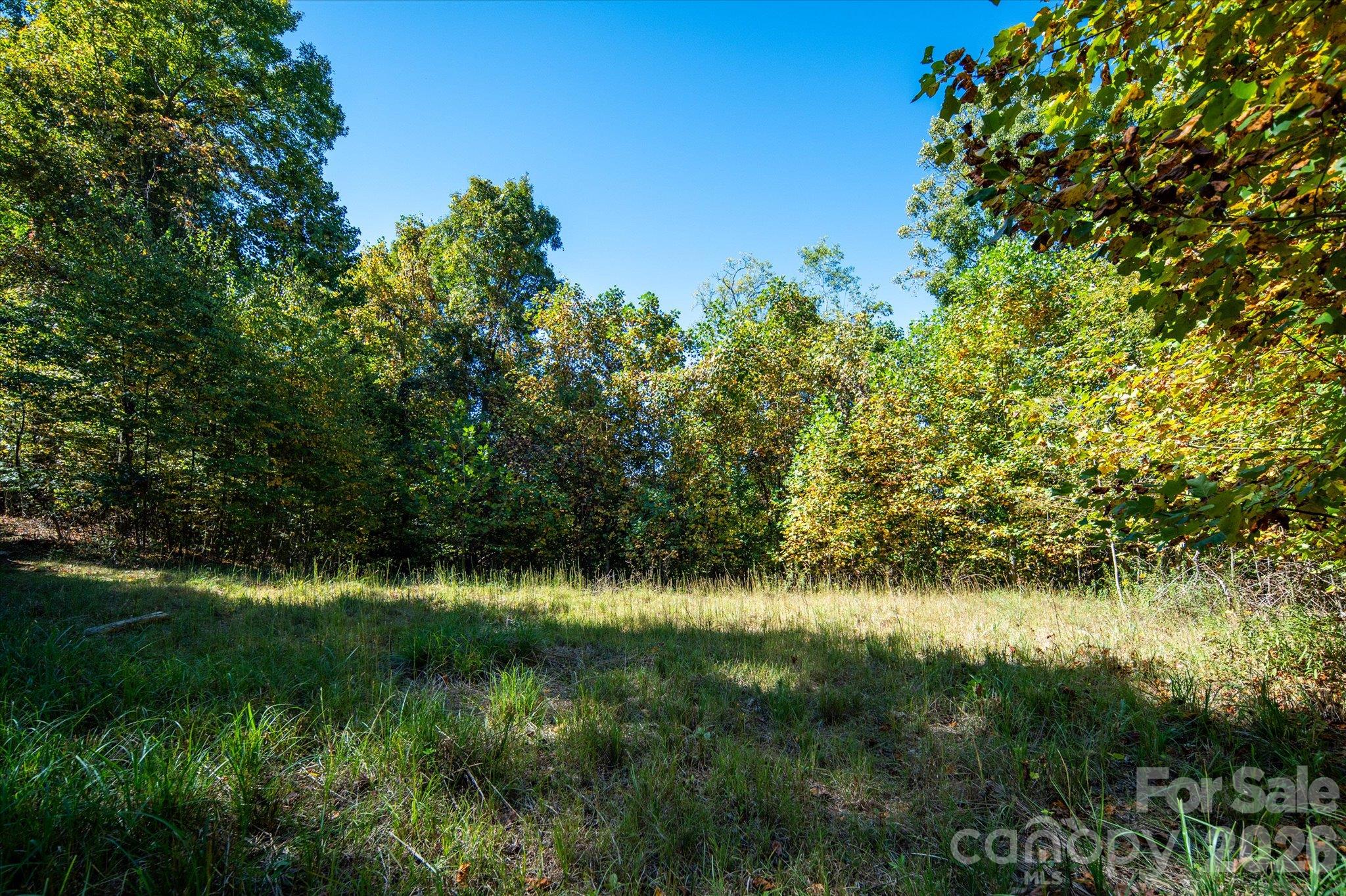 Tbd Big Laurel Road Property Photo 16