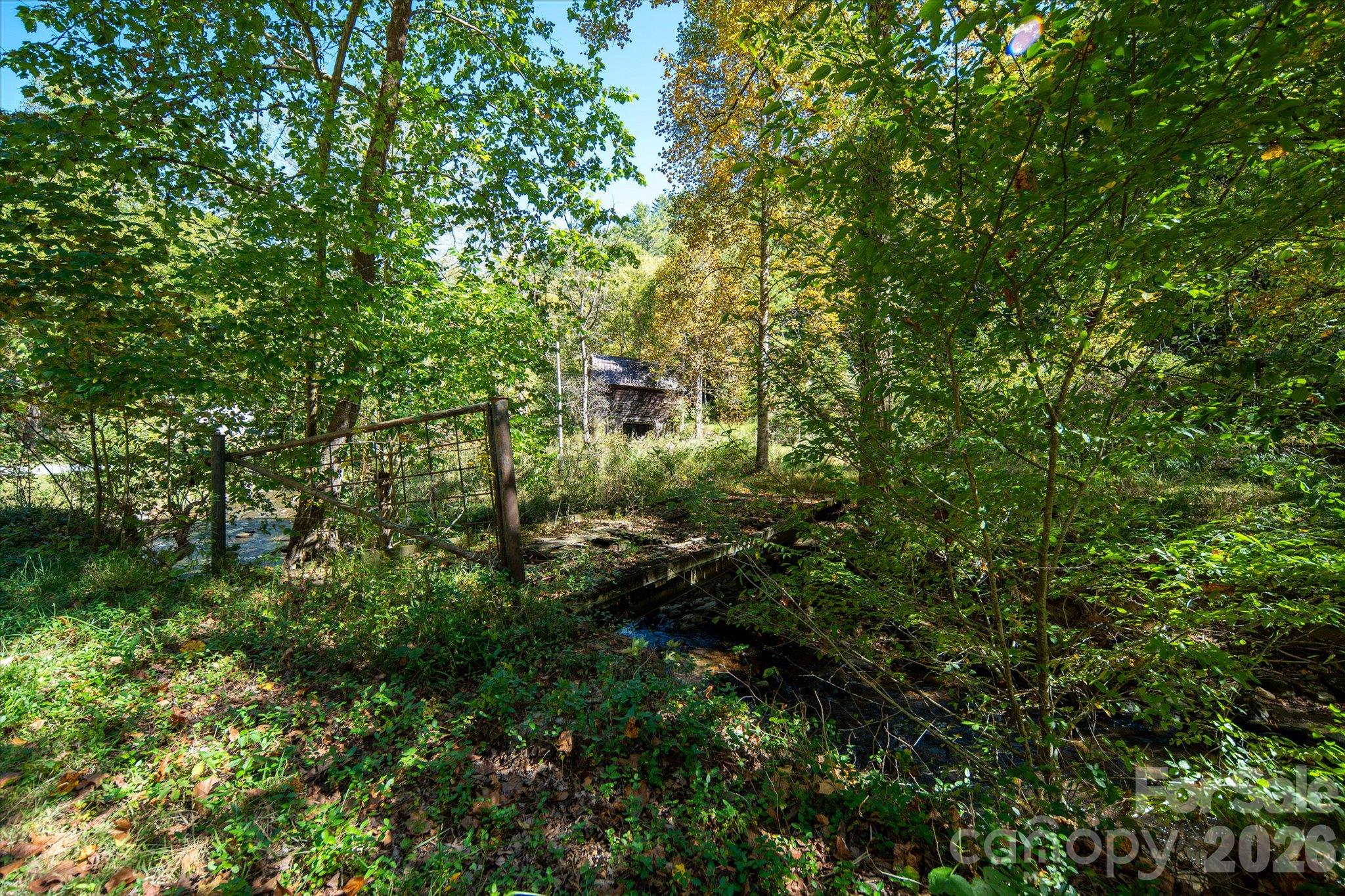 Tbd Big Laurel Road Property Photo 17