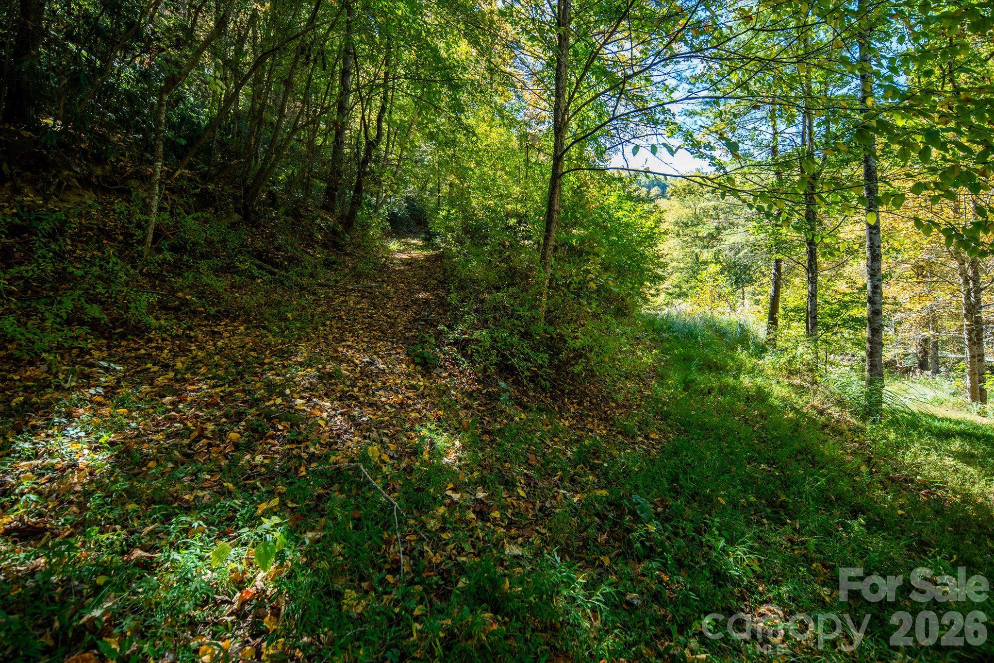 Tbd Big Laurel Road Property Photo 18