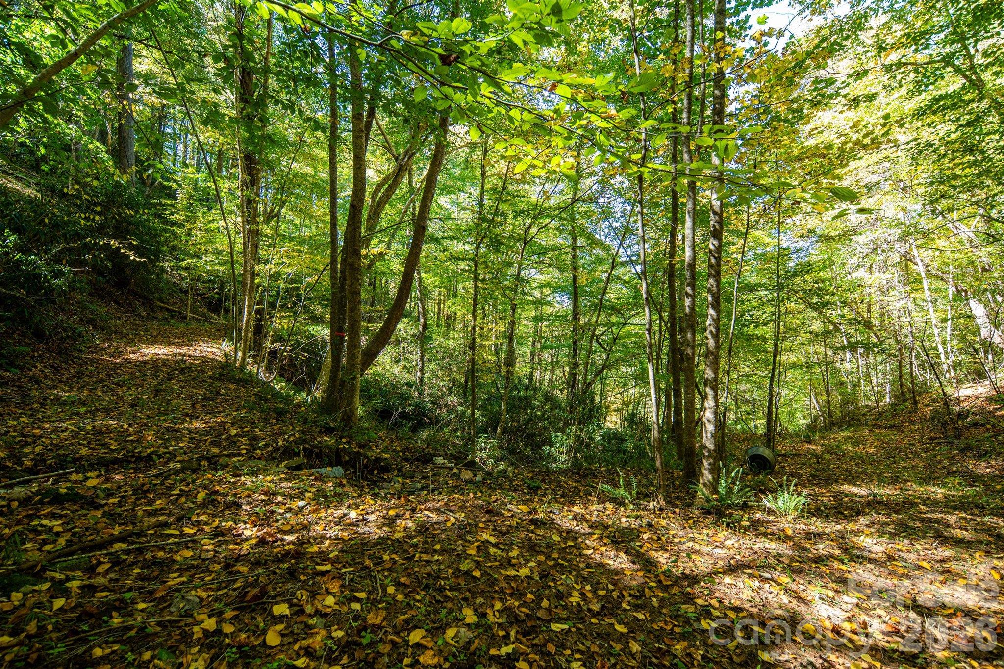 Tbd Big Laurel Road Property Photo 20