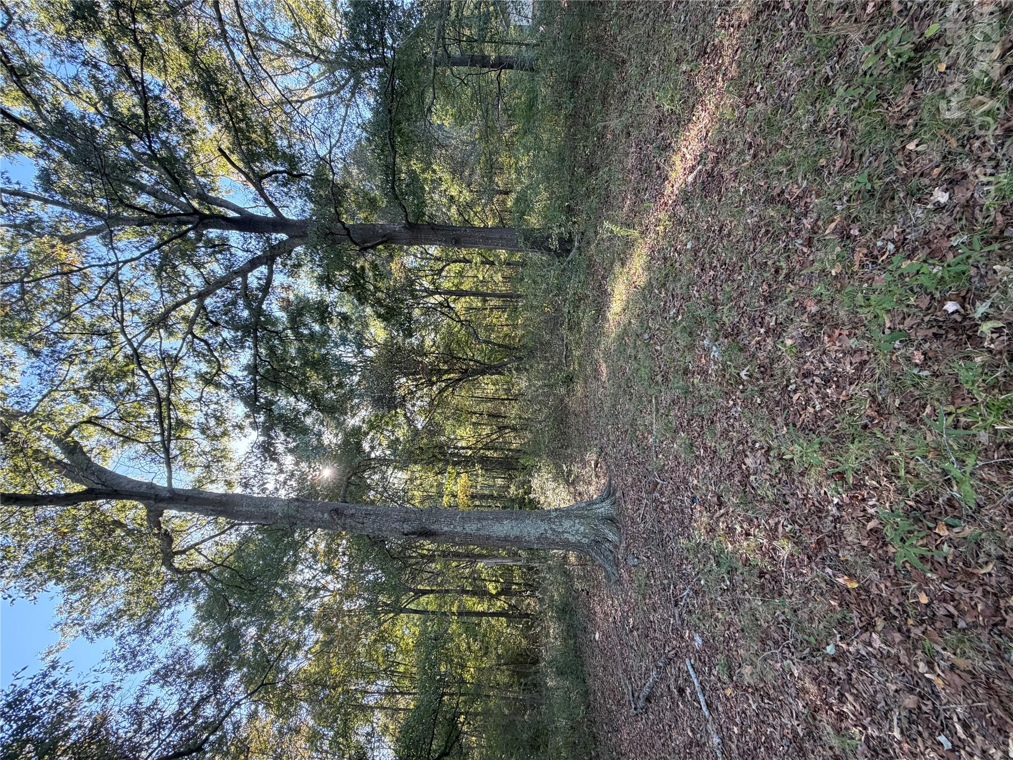 0000 Beacon Road Property Photo 3