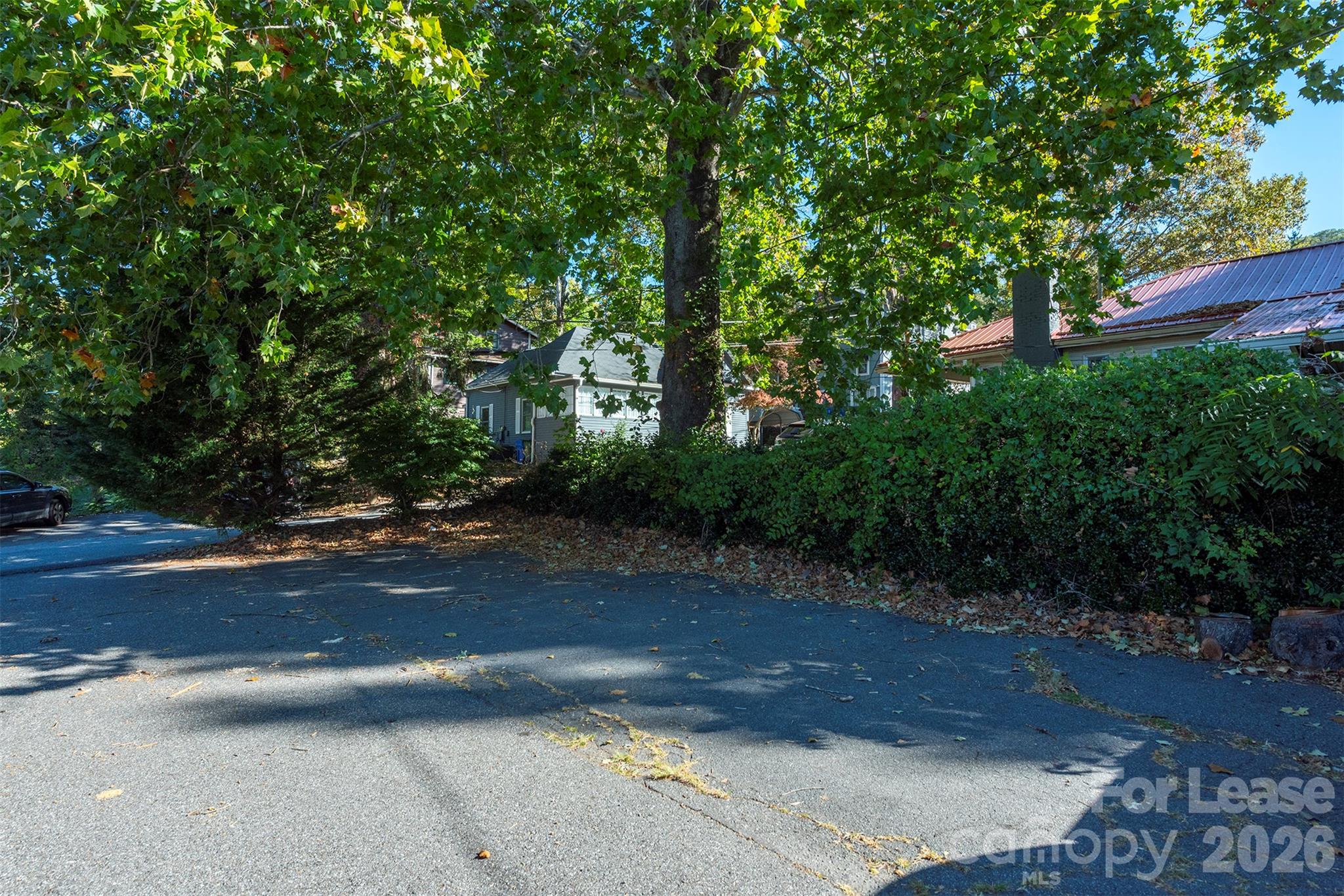 171 Charlotte Street Property Photo 4