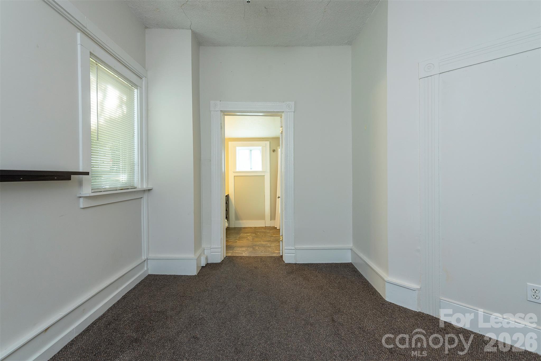 171 Charlotte Street Property Photo 19