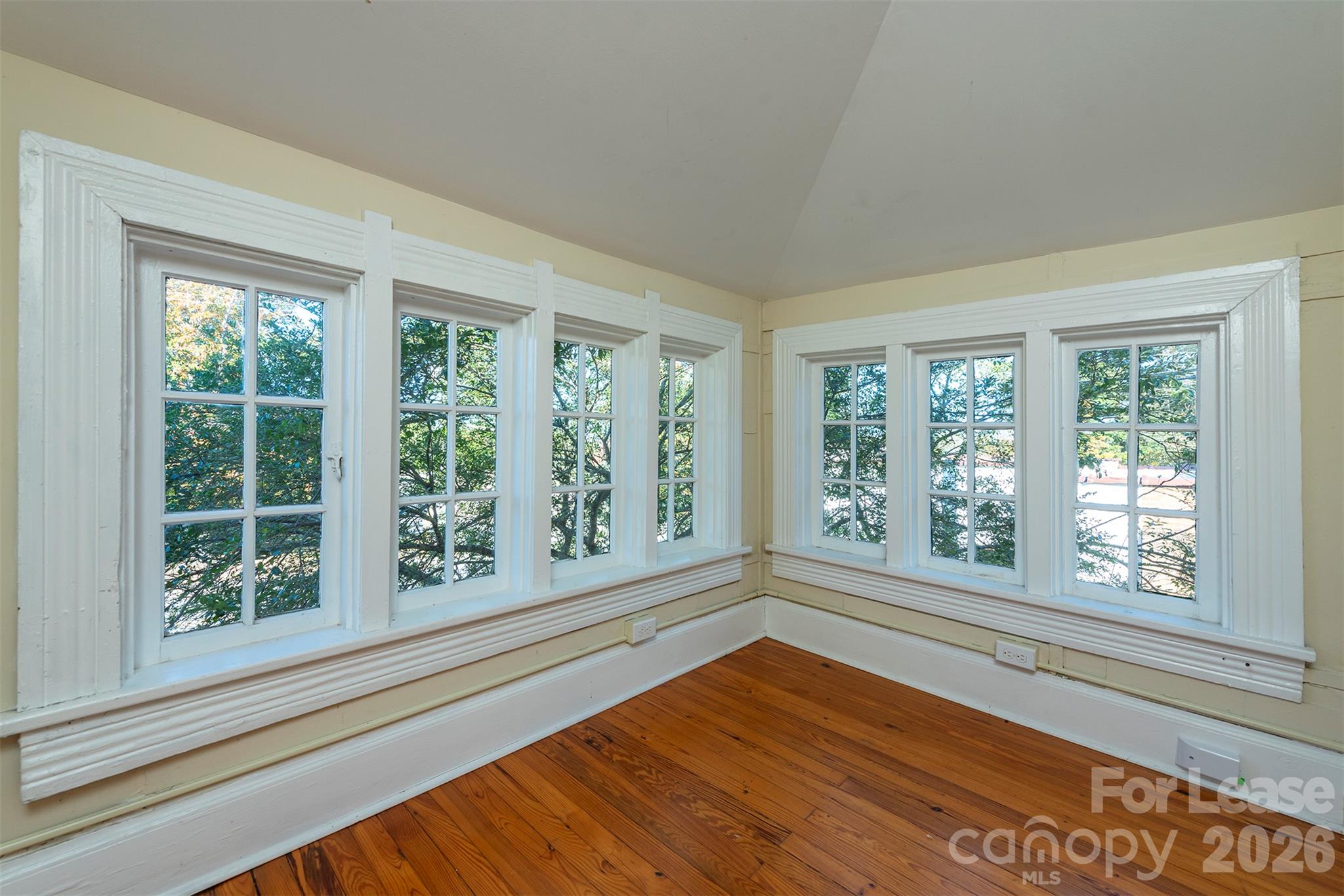 171 Charlotte Street Property Photo 22