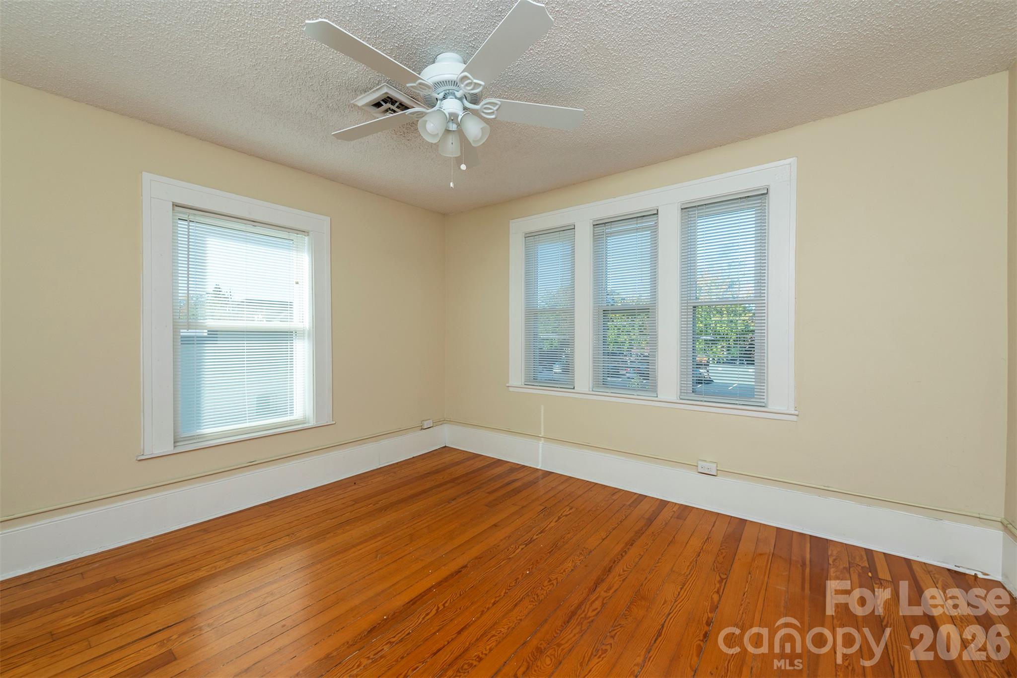 171 Charlotte Street Property Photo 23