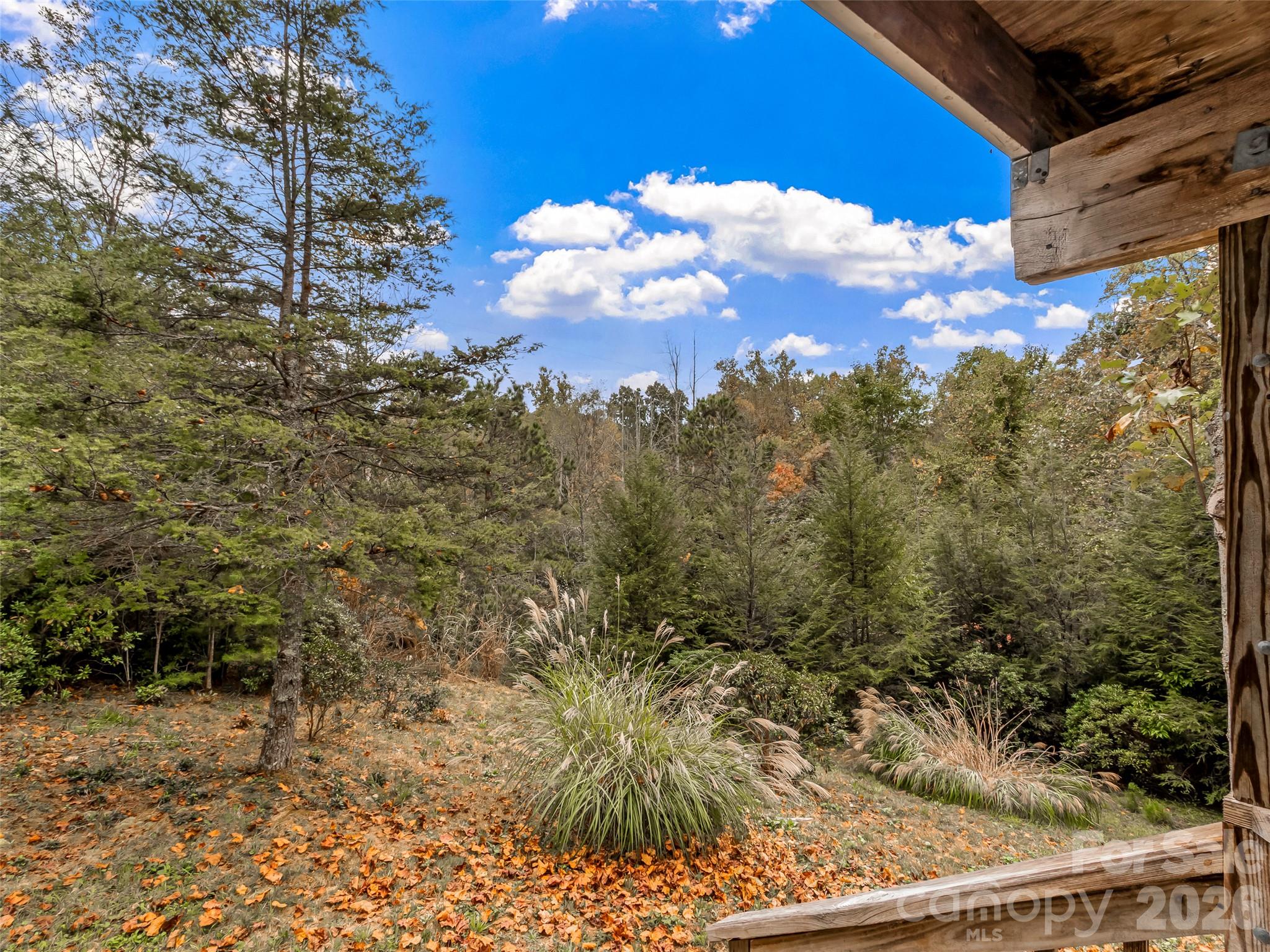 50 Wild Iris Drive Property Photo 3