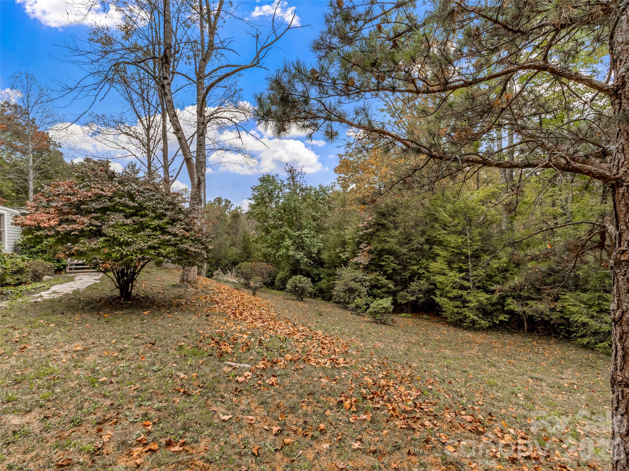 50 Wild Iris Drive Property Photo 23