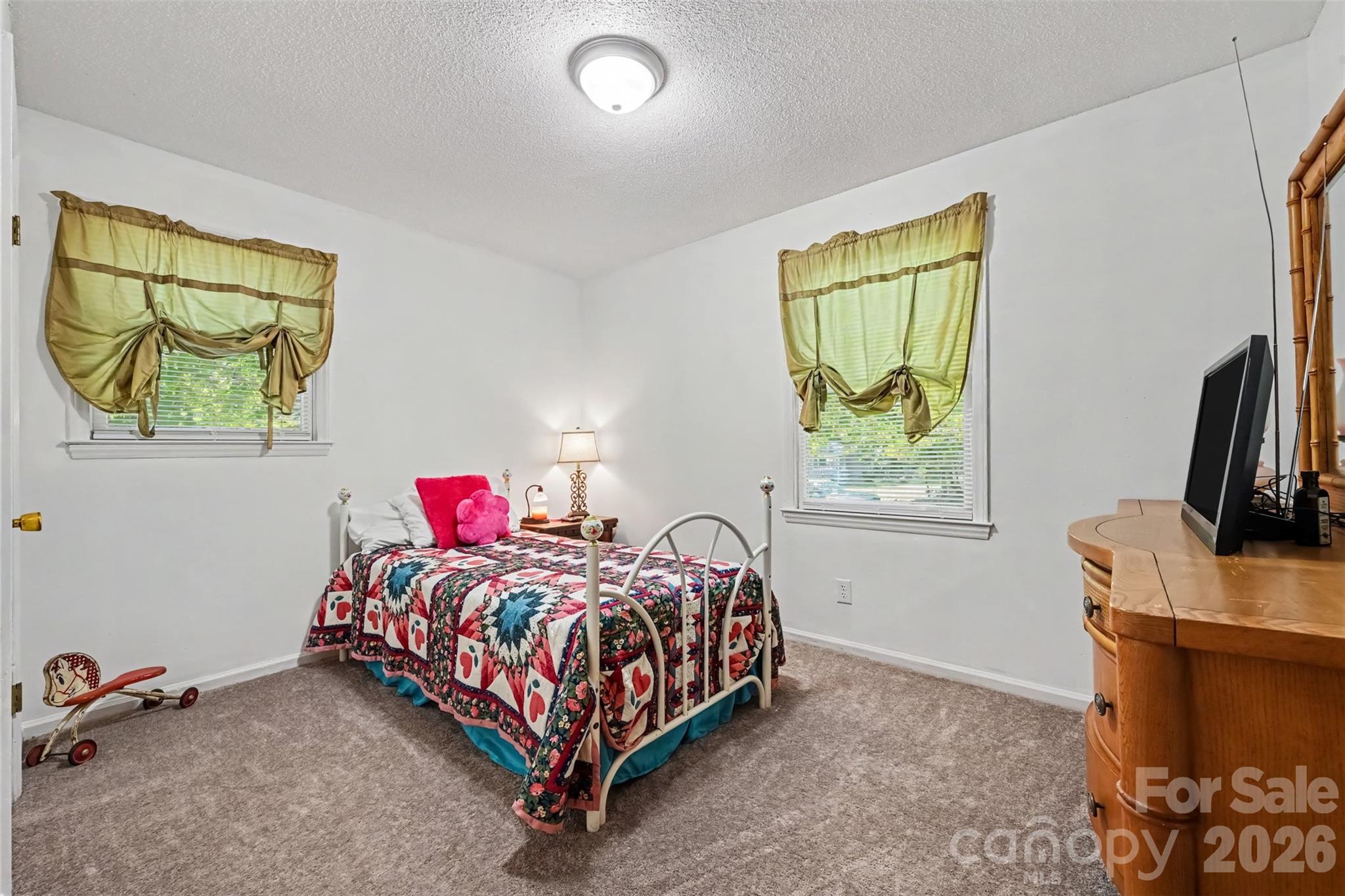 3917 Lake Road Property Photo 11