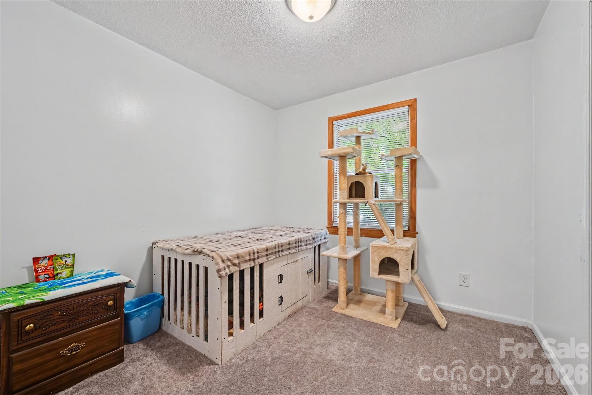 3917 Lake Road Property Photo 12
