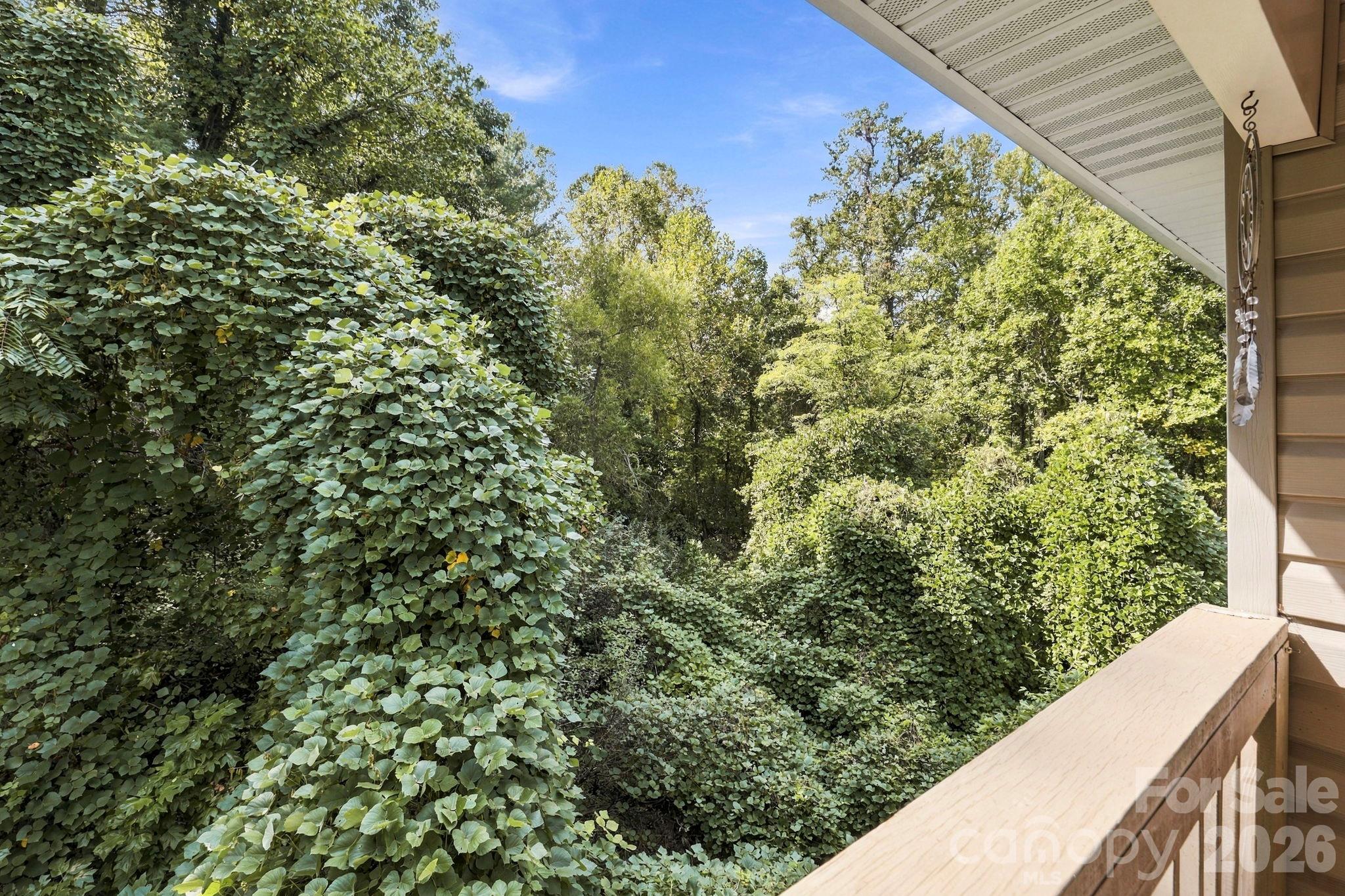 805 Carlyle Way Property Photo 13