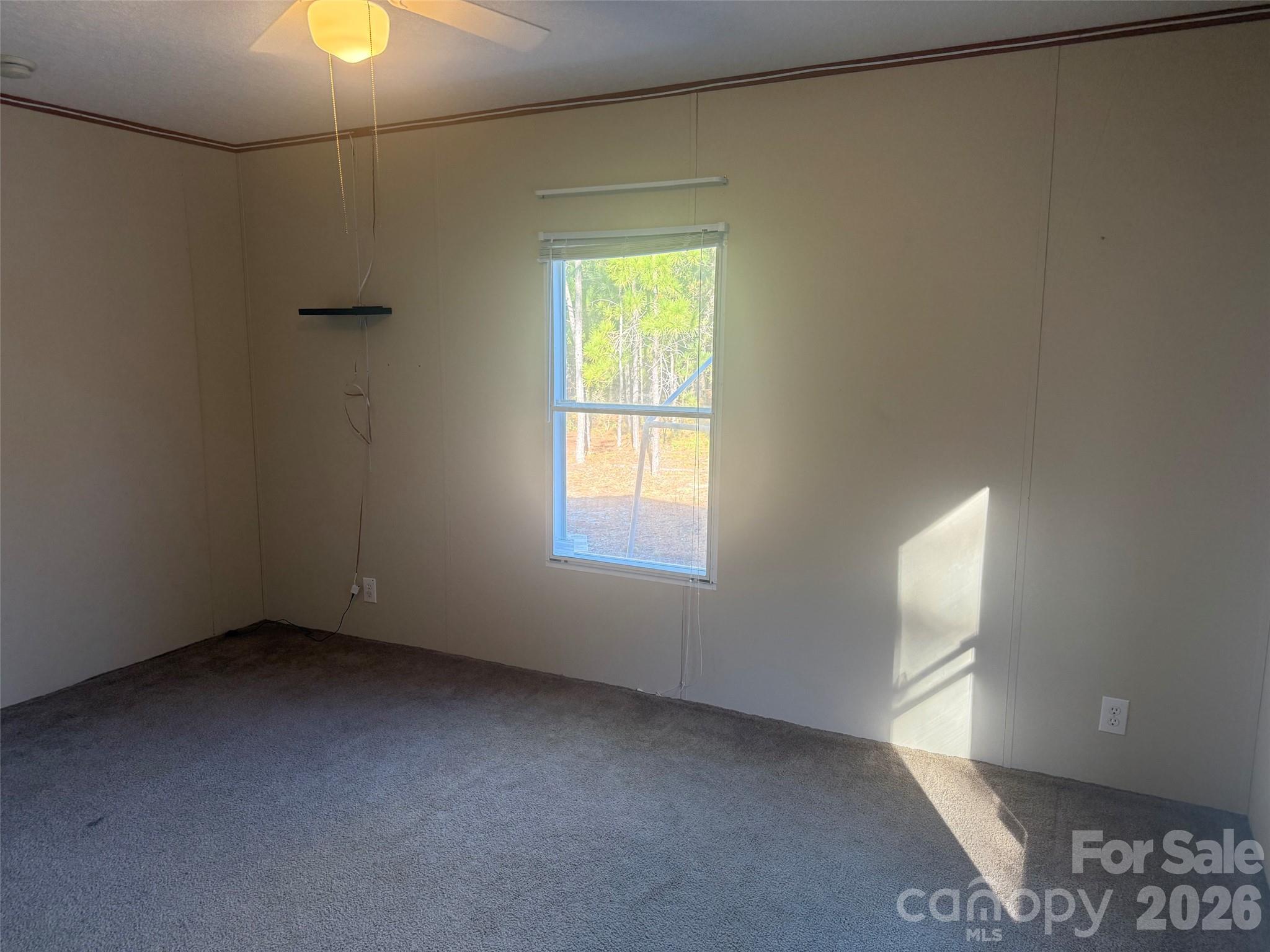 307 Rustling Oaks Road Property Photo 4