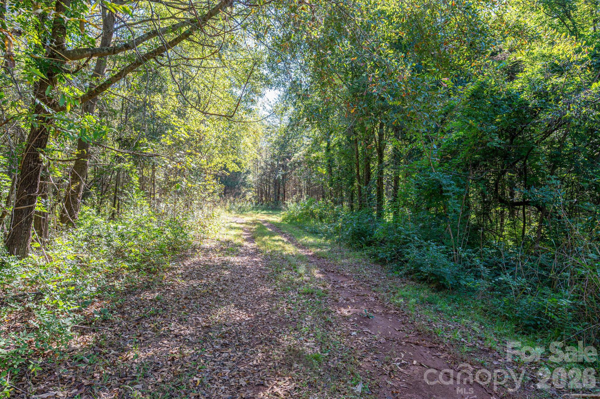 0 Riverview Road Property Photo 15