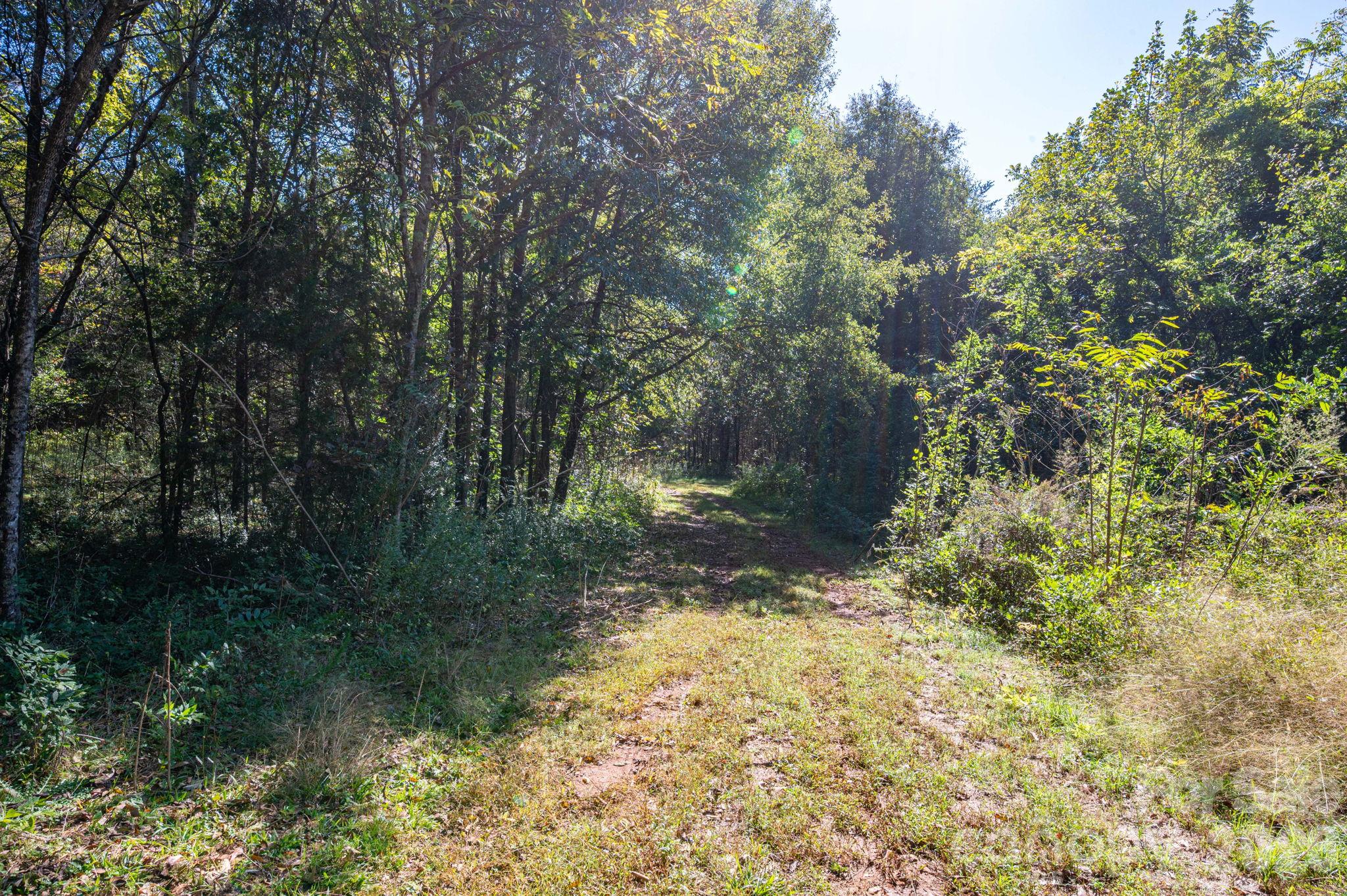 0 Riverview Road Property Photo 16