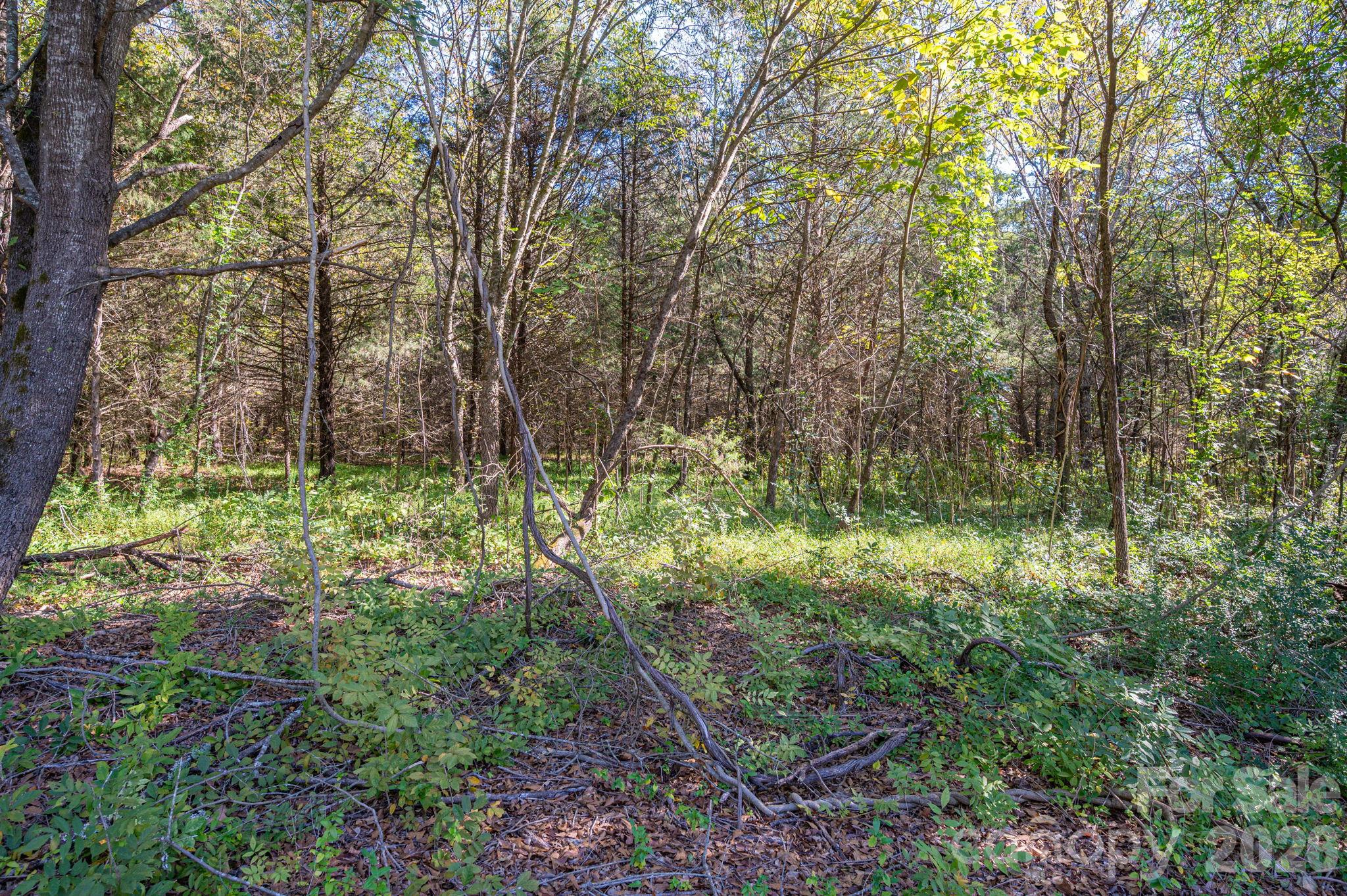 0 Riverview Road Property Photo 18