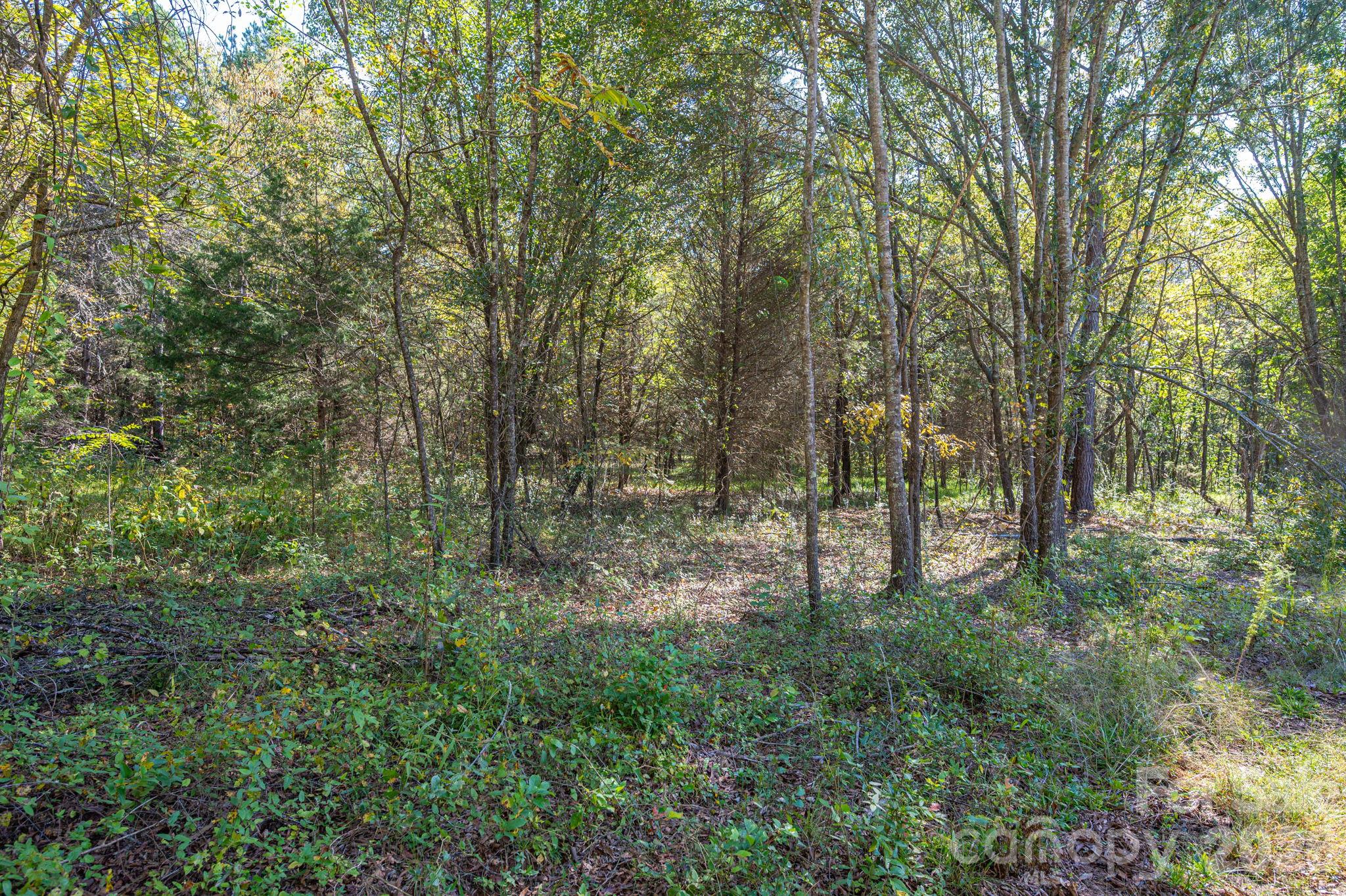 0 Riverview Road Property Photo 19