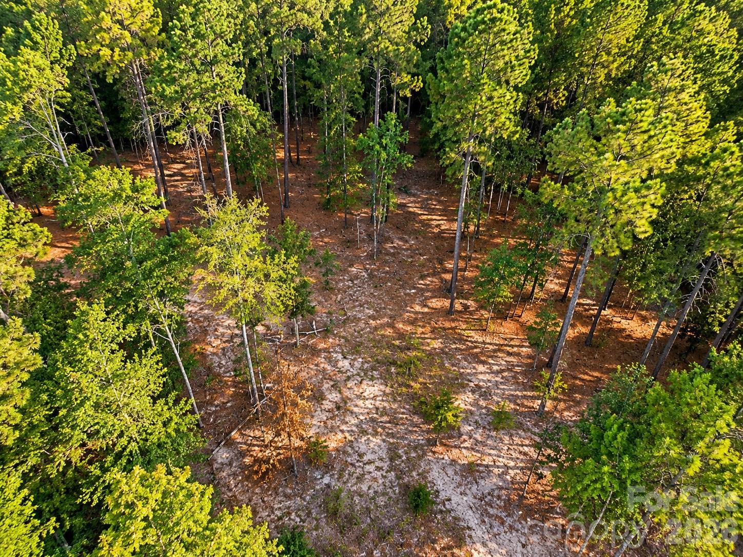 Tbd/ Lot B Sw Beaker Road Property Photo 2