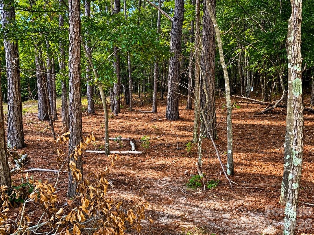 Tbd/ Lot B Sw Beaker Road Property Photo 3