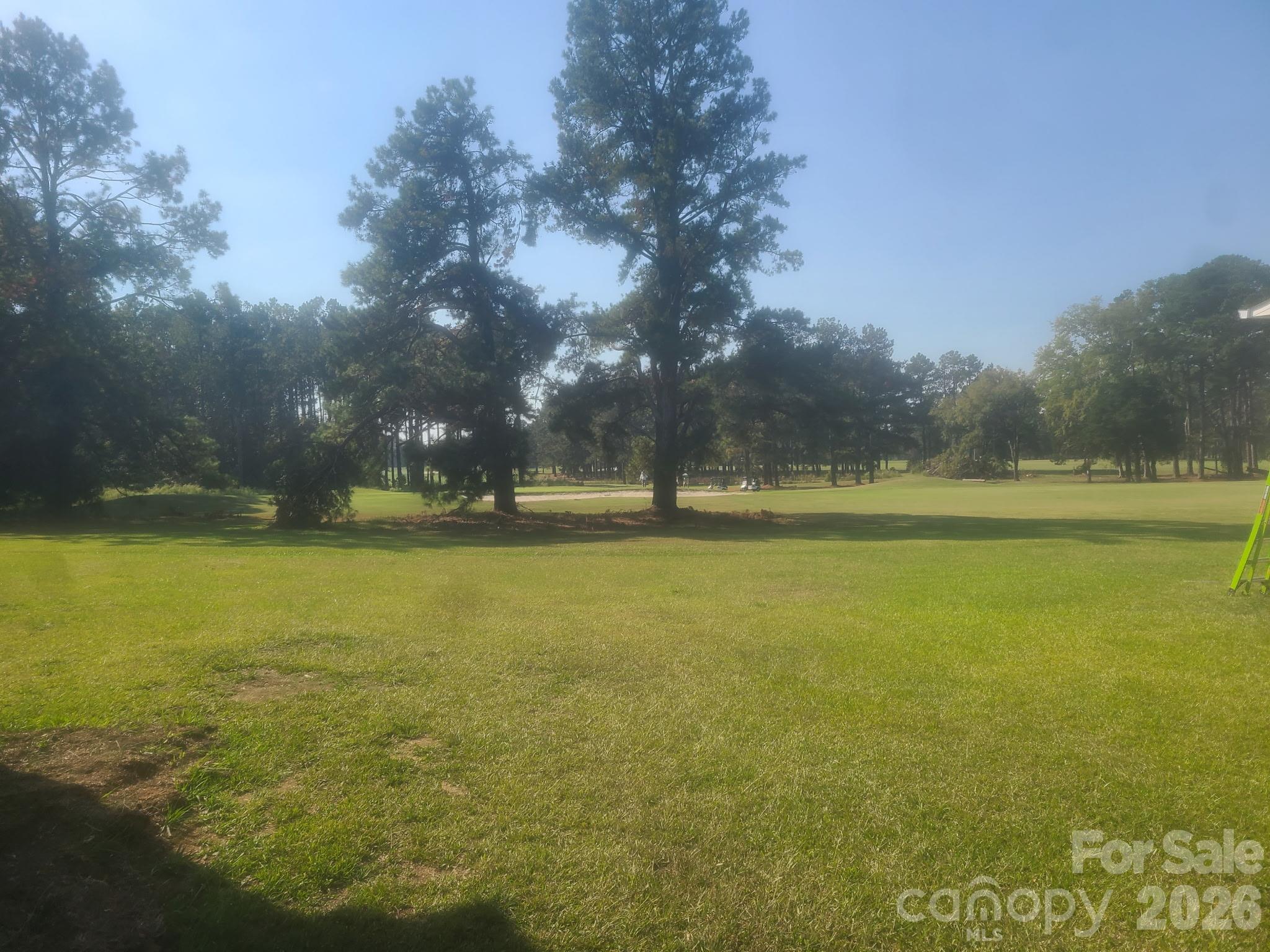 511 Birdie Haven Drive Property Photo 6