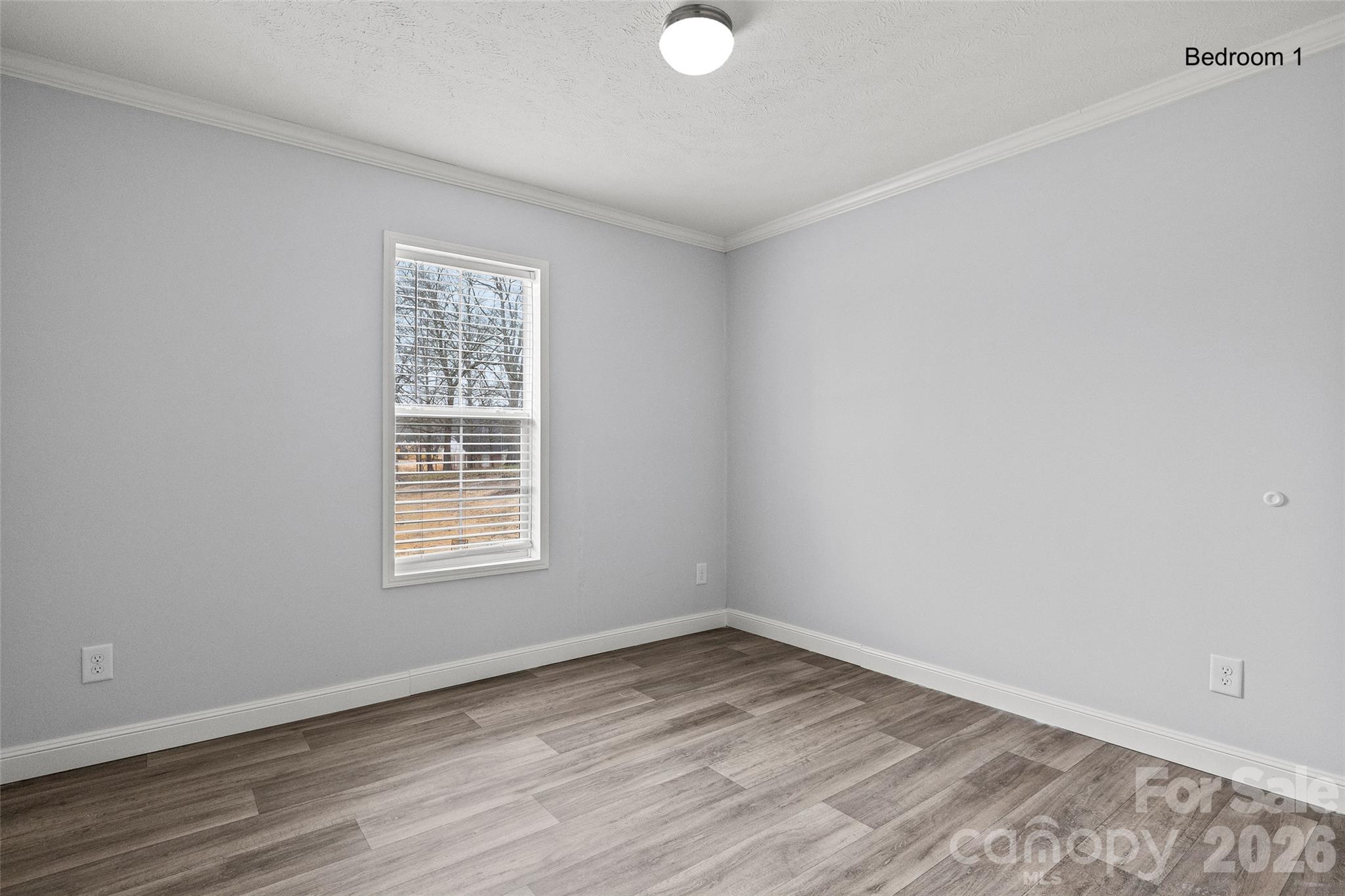 1105 Marion Street Property Photo 16