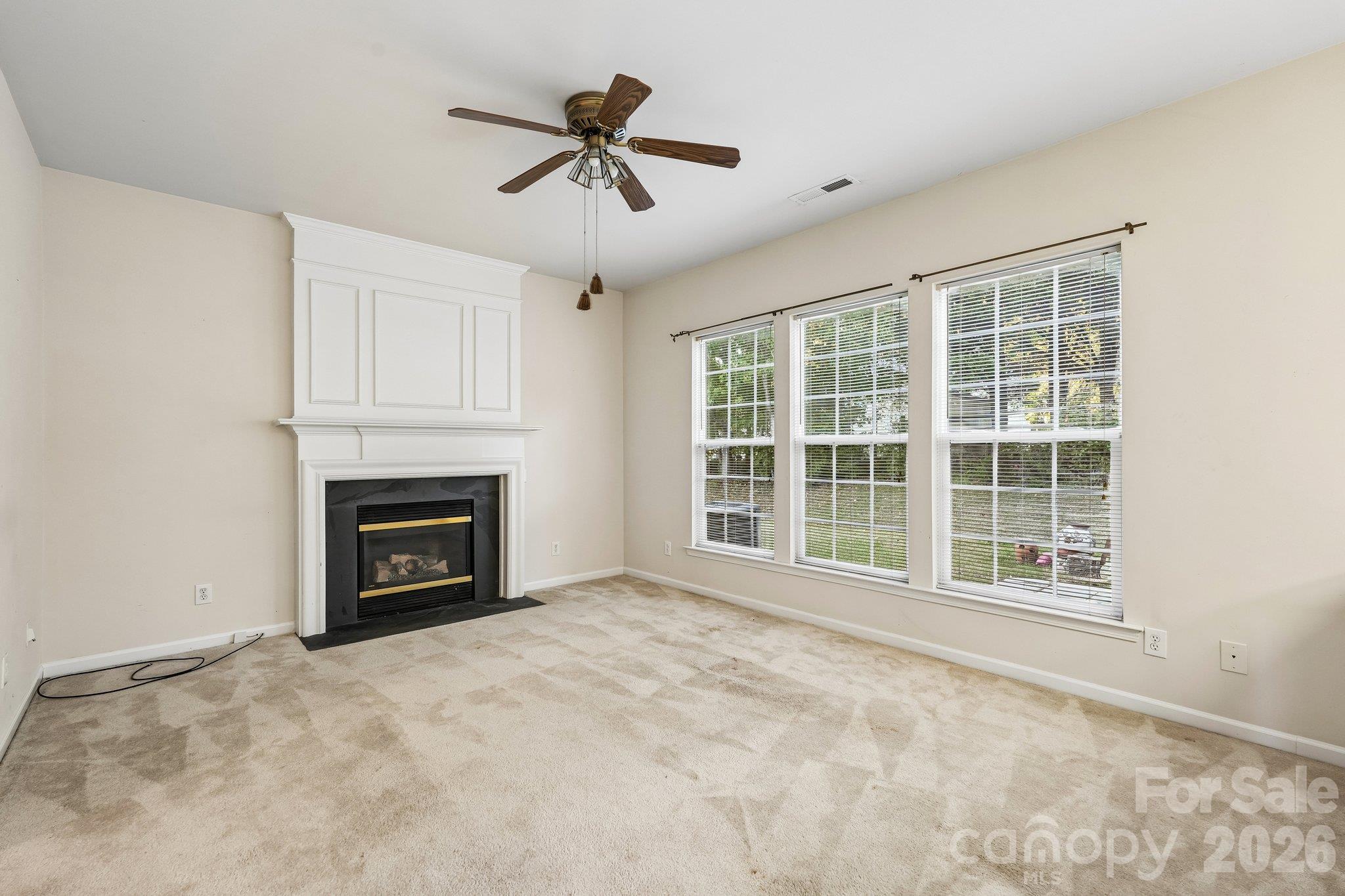 1217 Stourbridge Lion Drive Property Photo 9