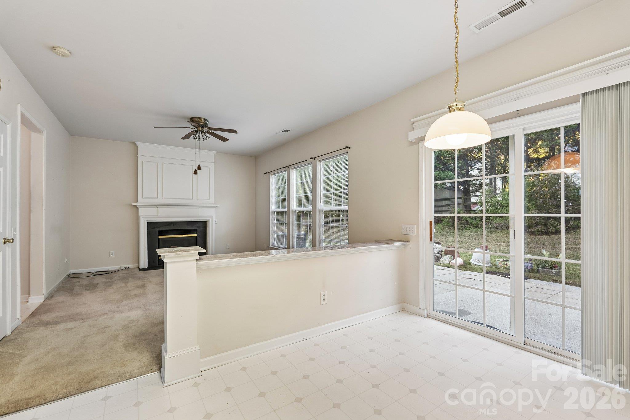 1217 Stourbridge Lion Drive Property Photo 11