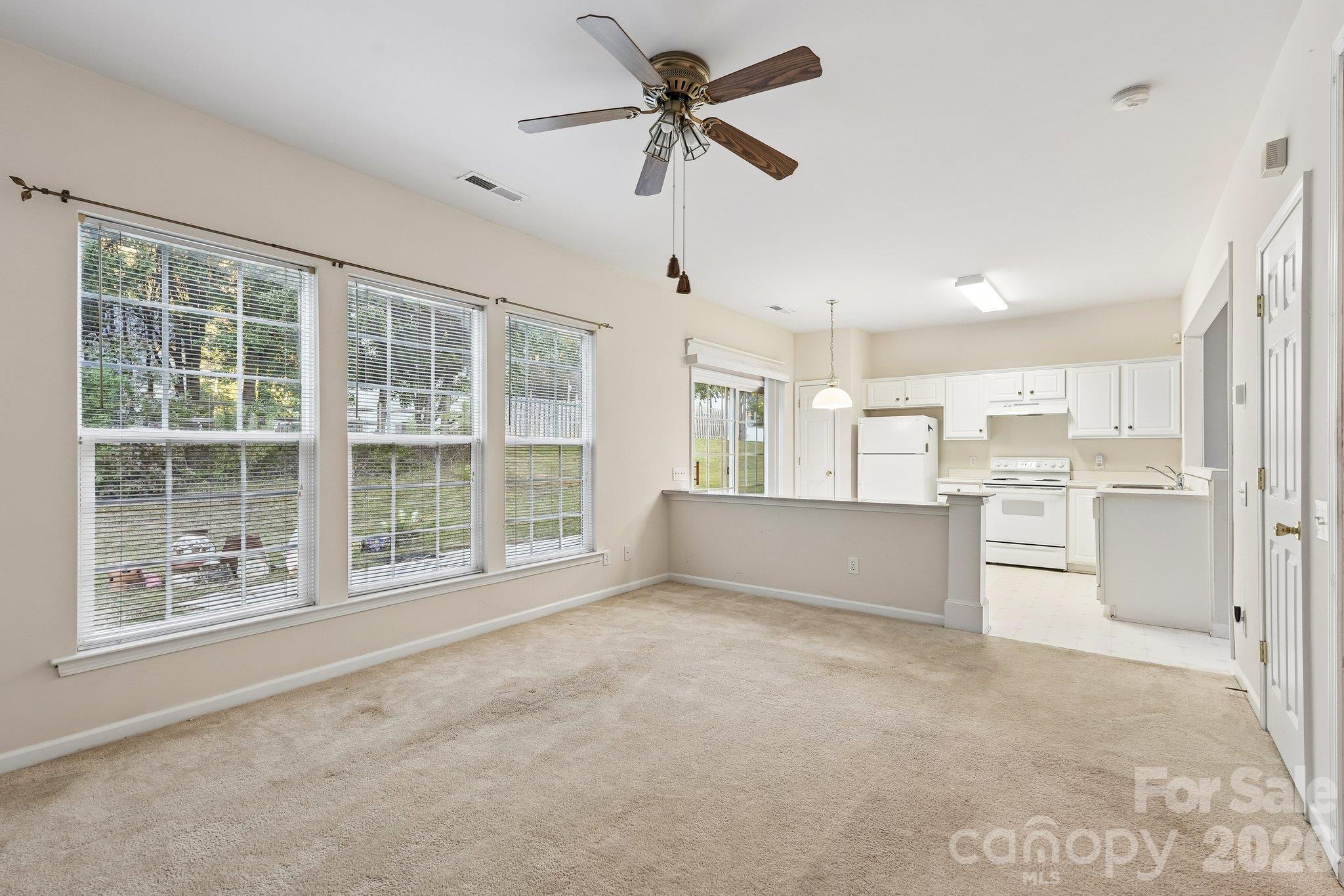 1217 Stourbridge Lion Drive Property Photo 12