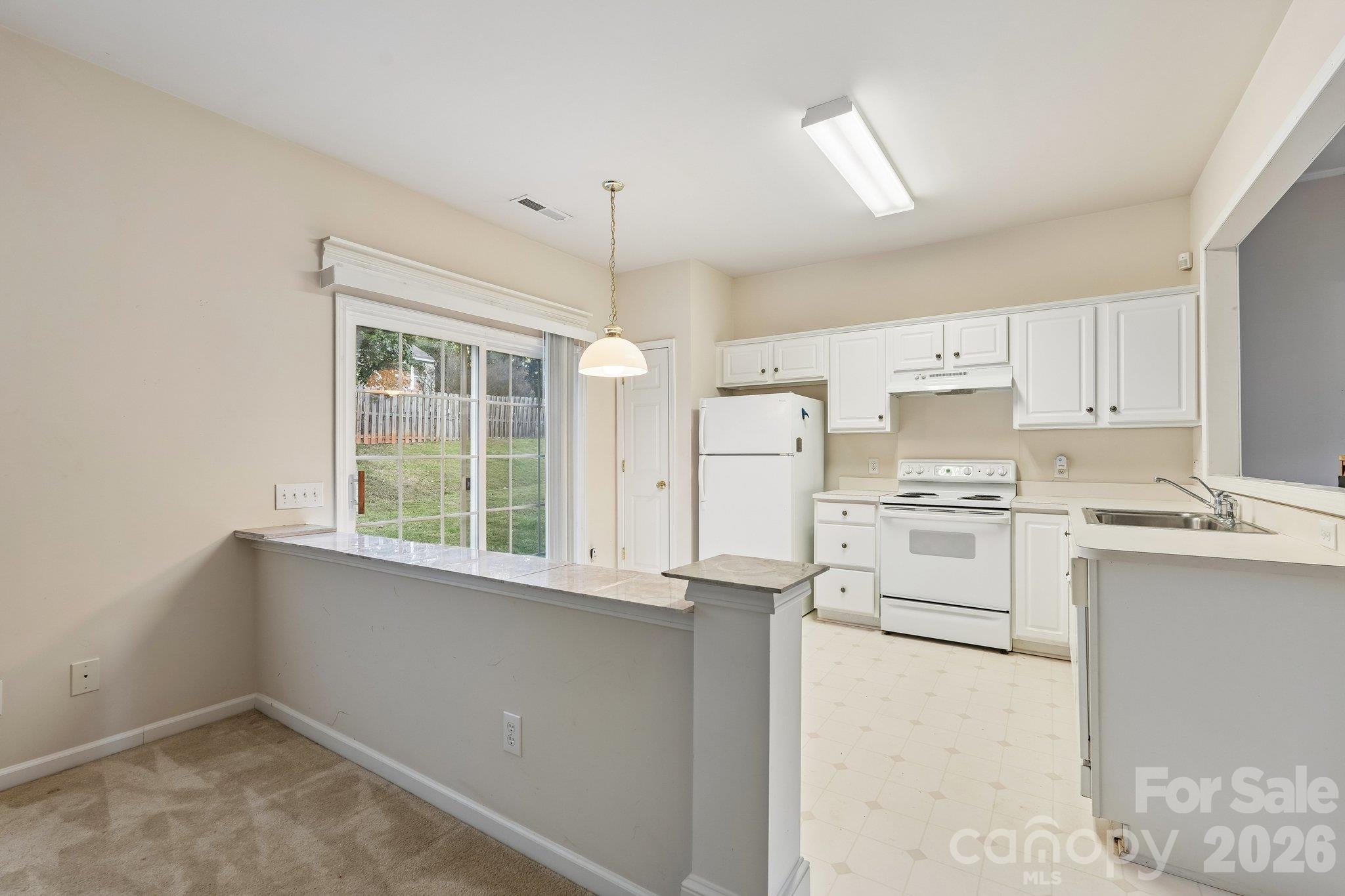 1217 Stourbridge Lion Drive Property Photo 13