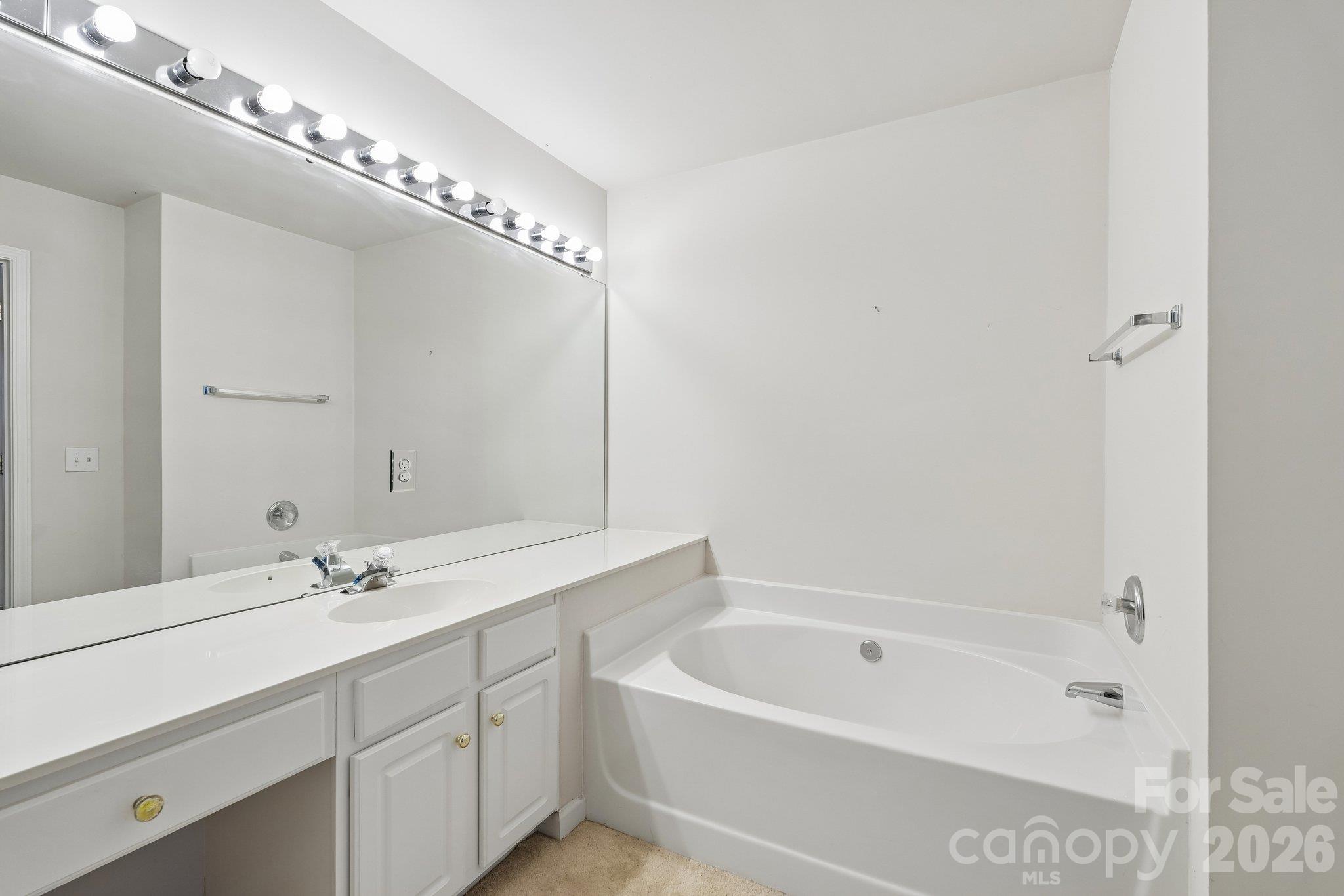 1217 Stourbridge Lion Drive Property Photo 30