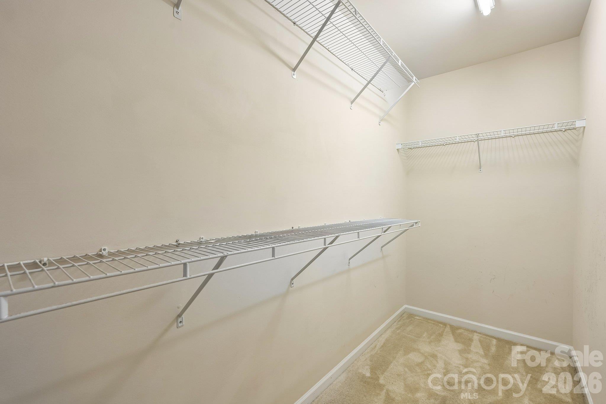 1217 Stourbridge Lion Drive Property Photo 32