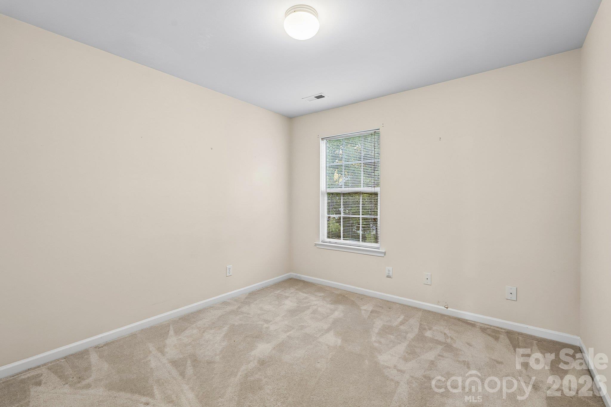1217 Stourbridge Lion Drive Property Photo 33