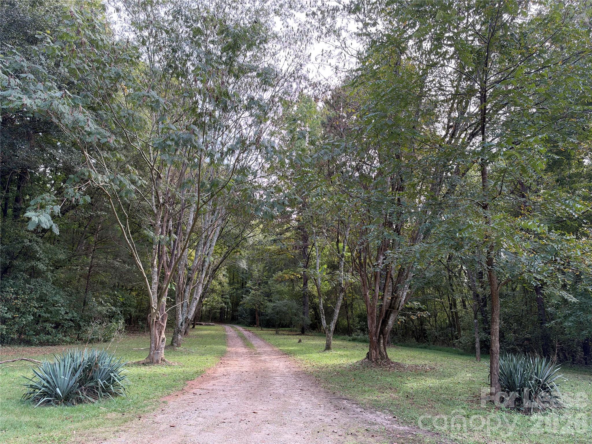 2692 Jim Mccarter Road Property Photo 16