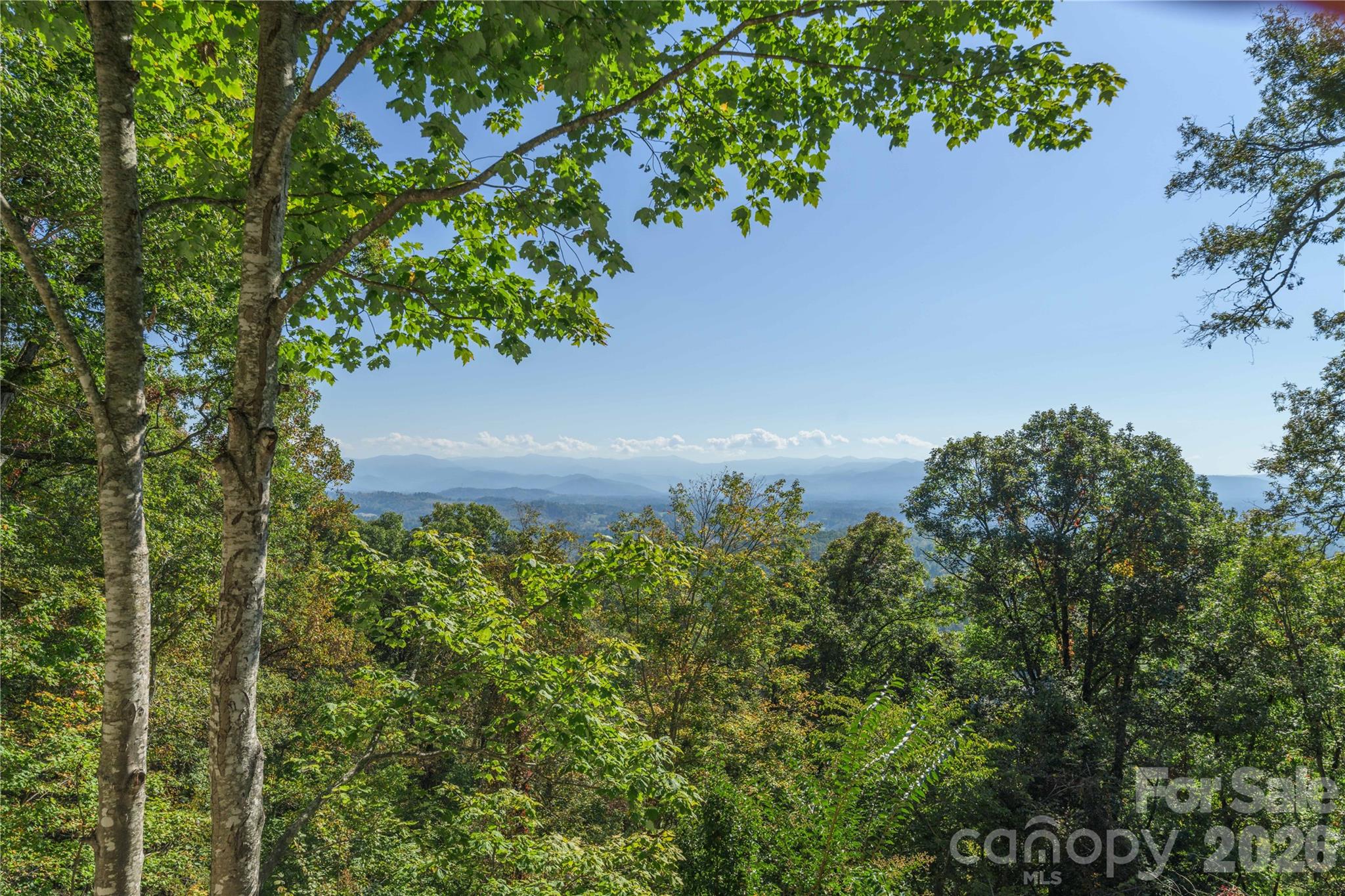 804 Madison Heights Drive Property Photo 10