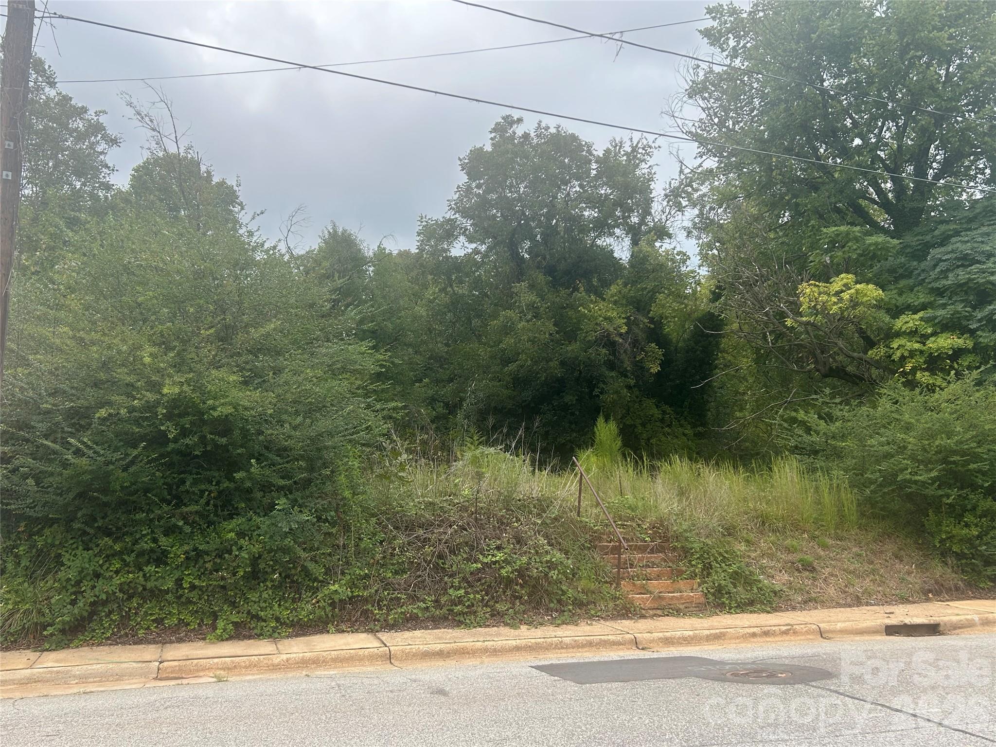 0 Long Street Property Photo 2