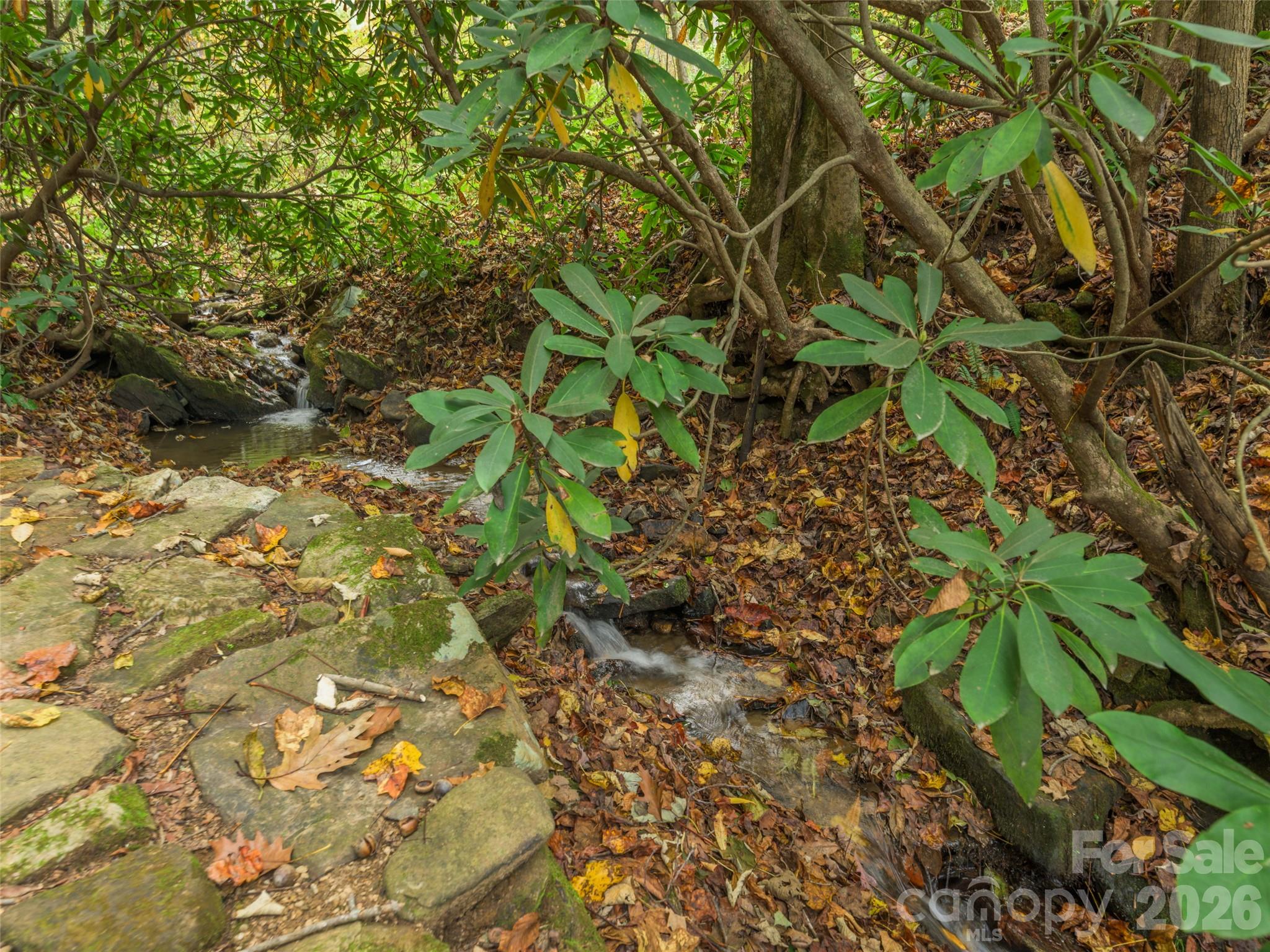 43 Rough Knob Road Property Photo 47