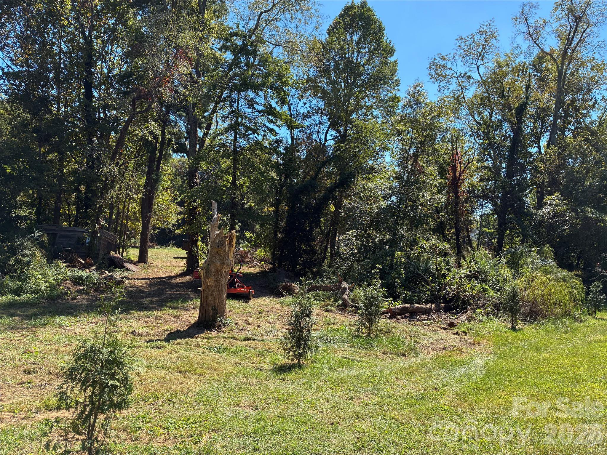 233 Oakview Road Property Photo 1
