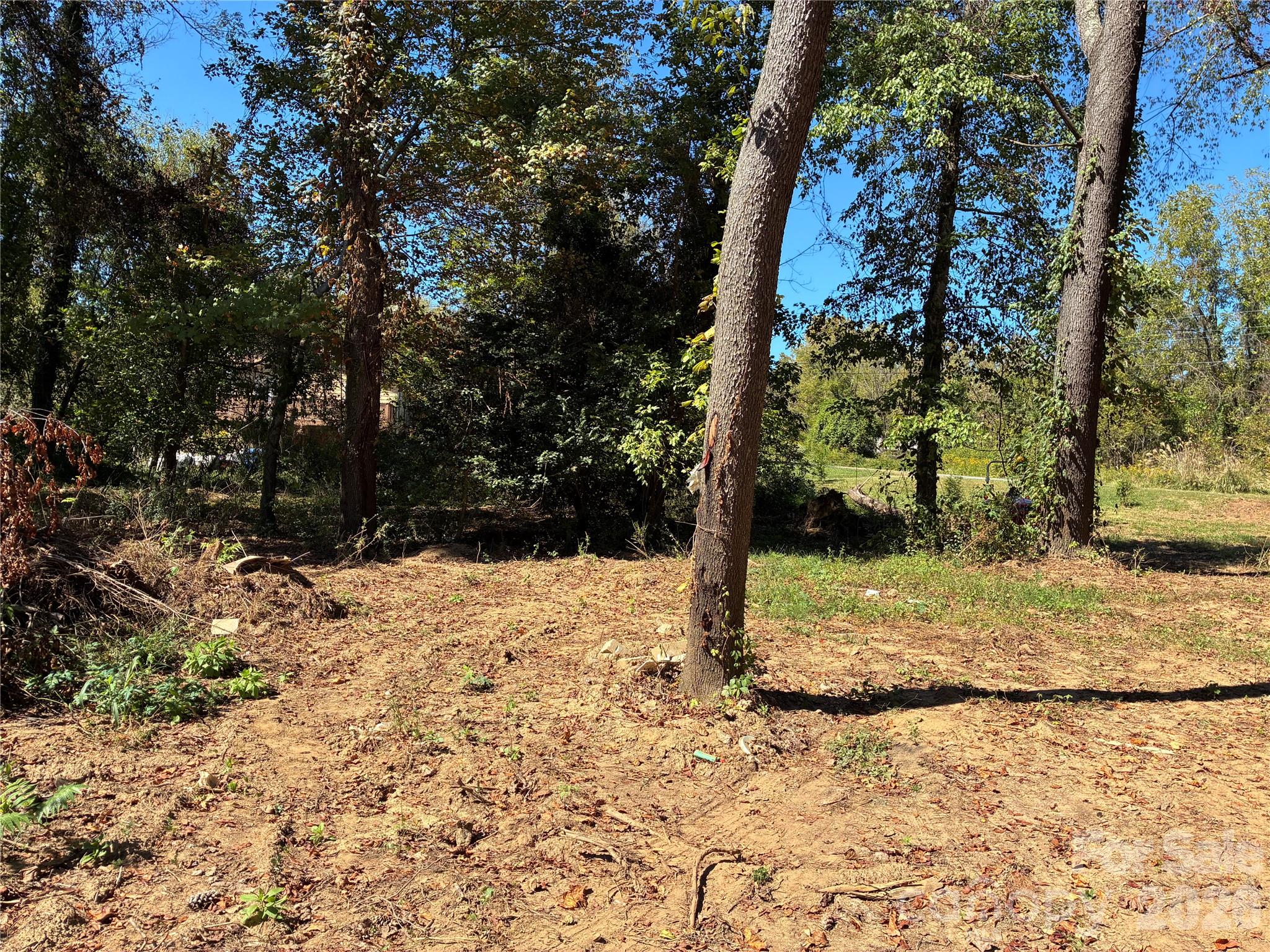 233 Oakview Road Property Photo 5