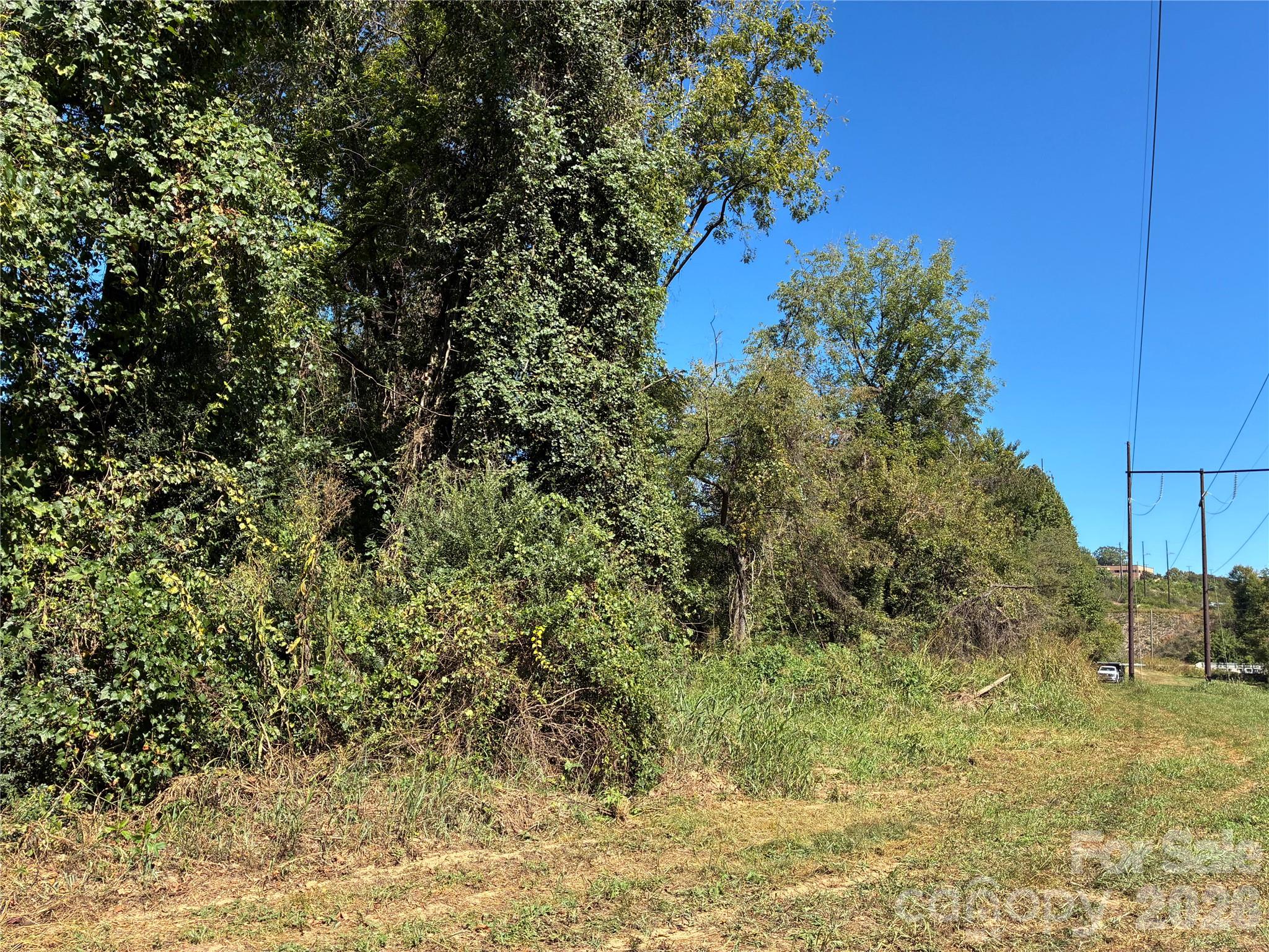233 Oakview Road Property Photo 6