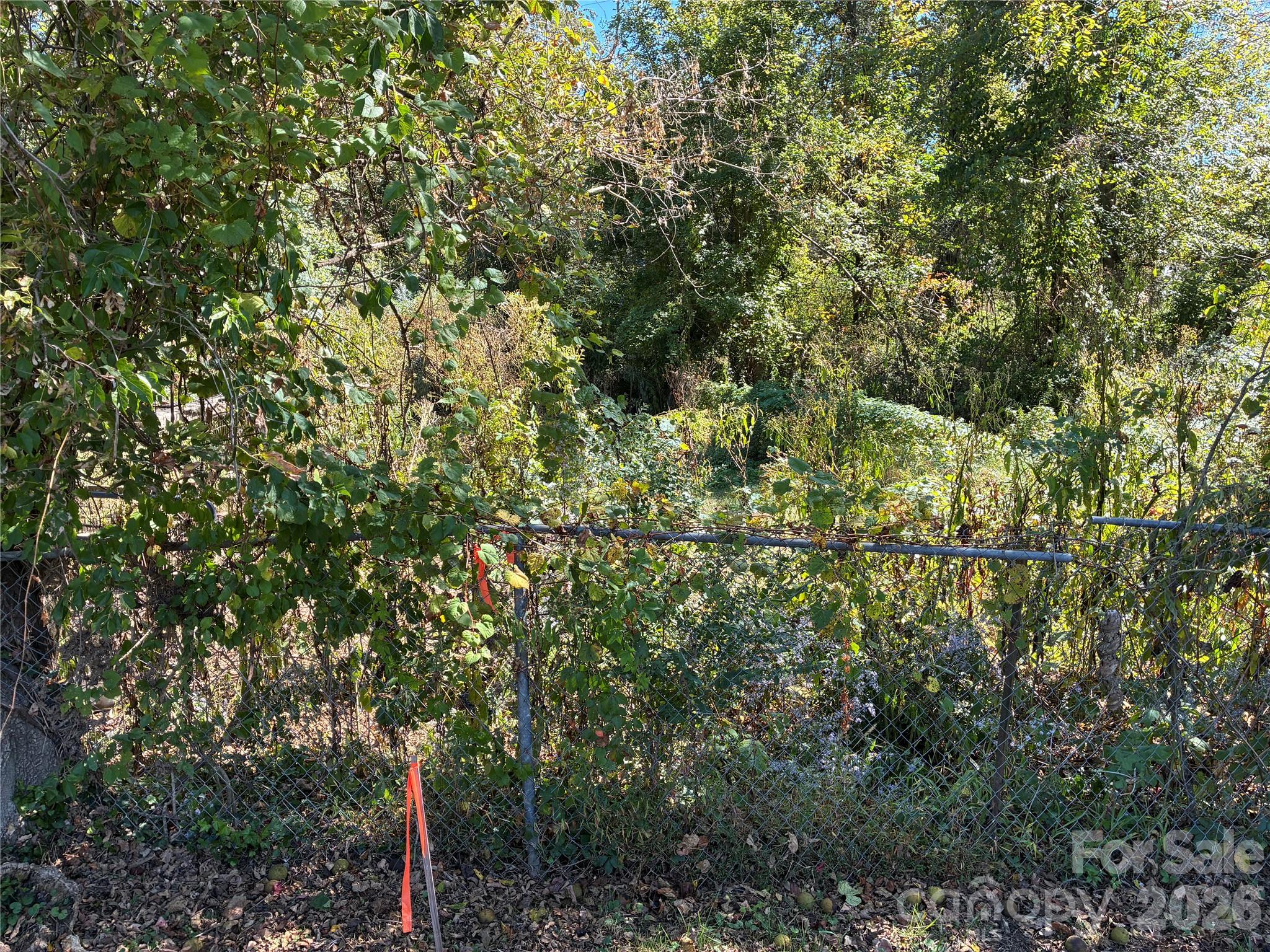 233 Oakview Road Property Photo 9