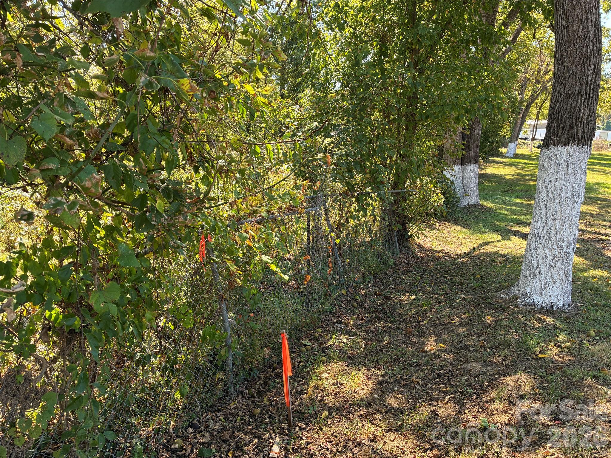233 Oakview Road Property Photo 10