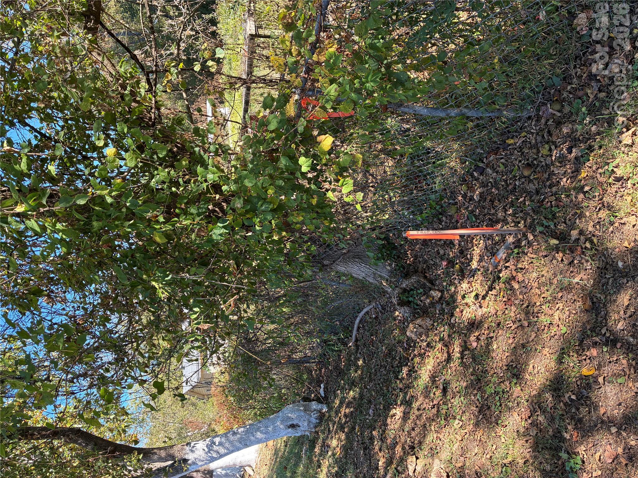 233 Oakview Road Property Photo 11