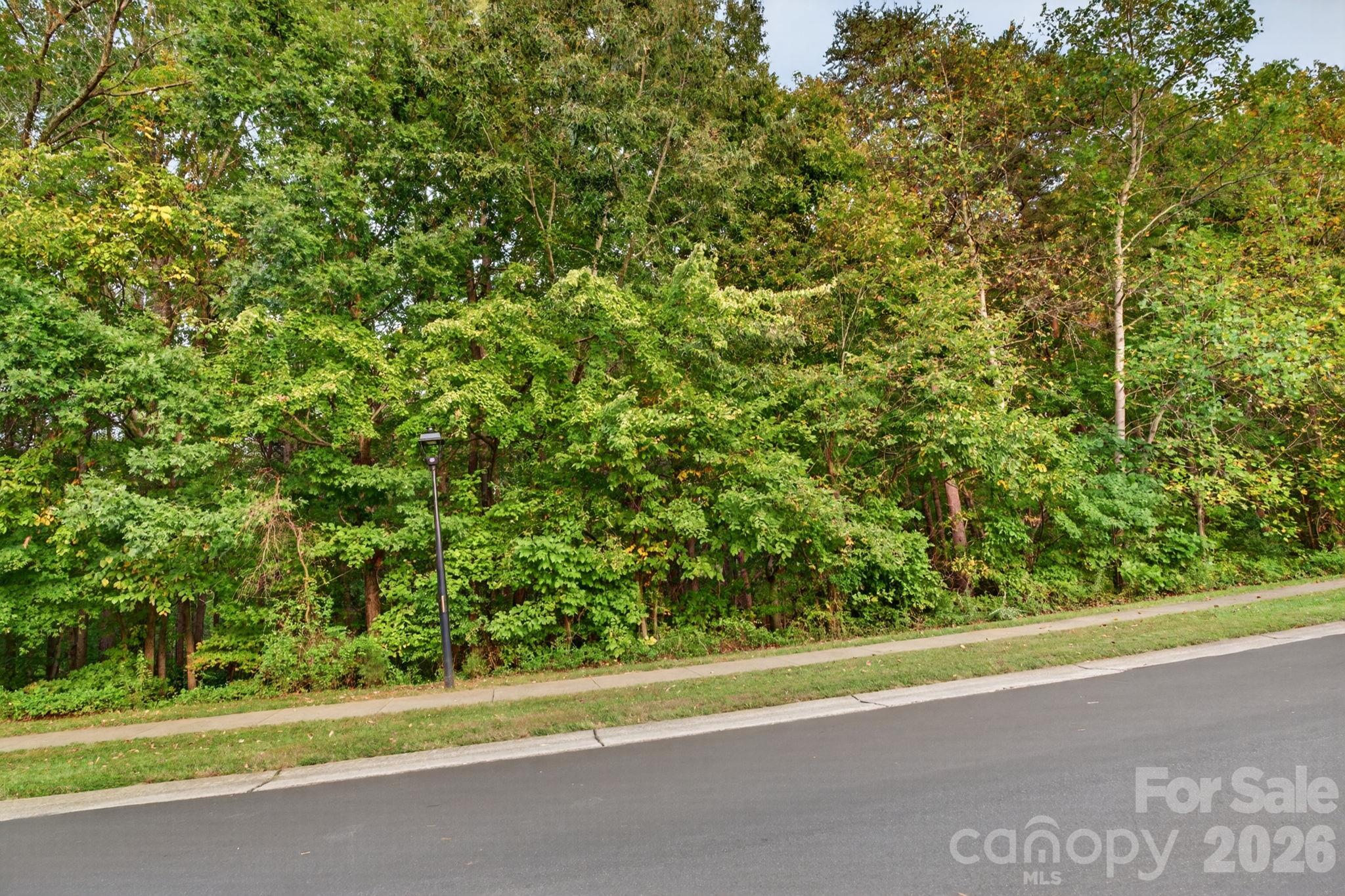 0 Seay Drive Property Photo 6
