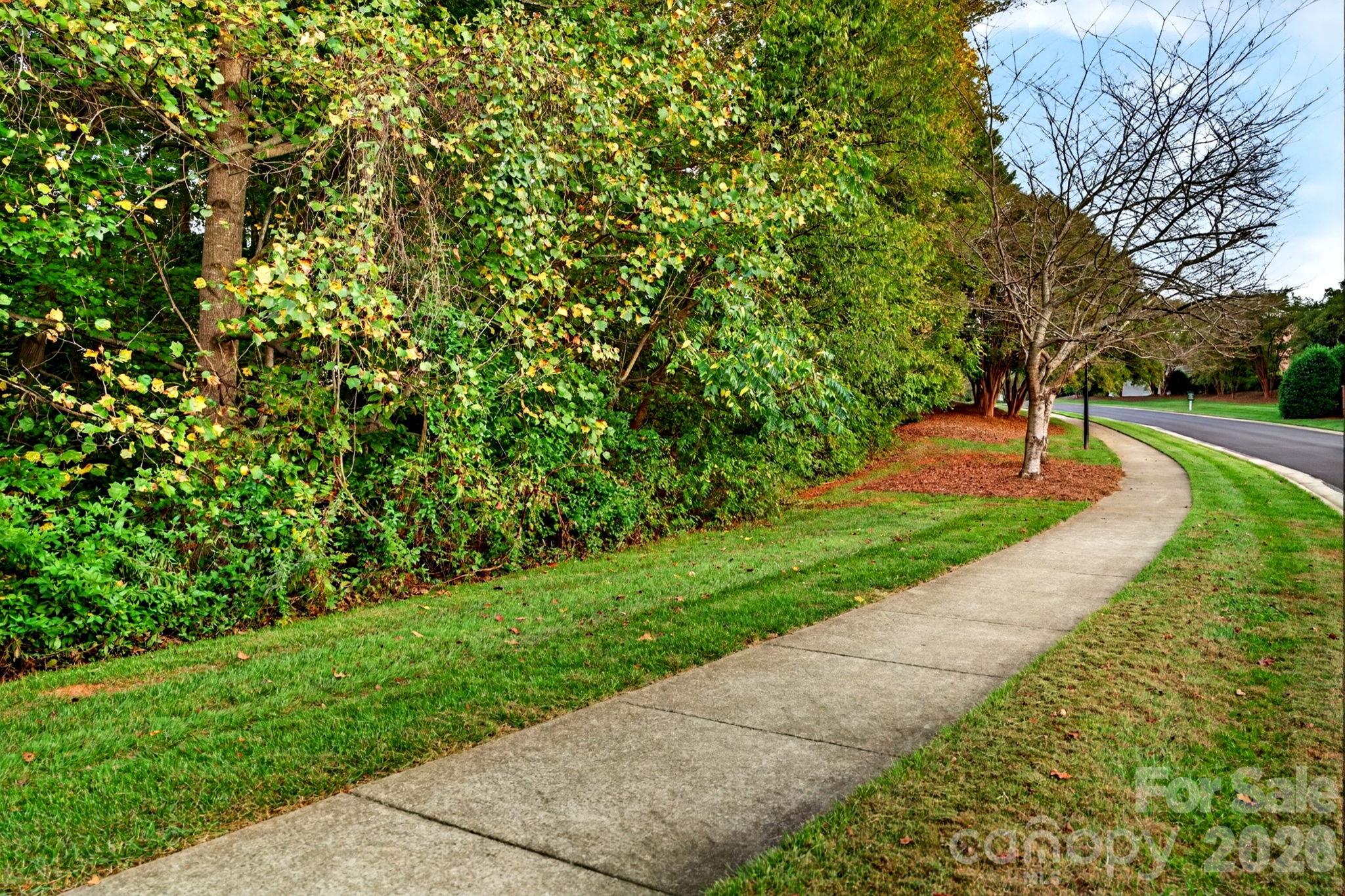 0 Seay Drive Property Photo 7